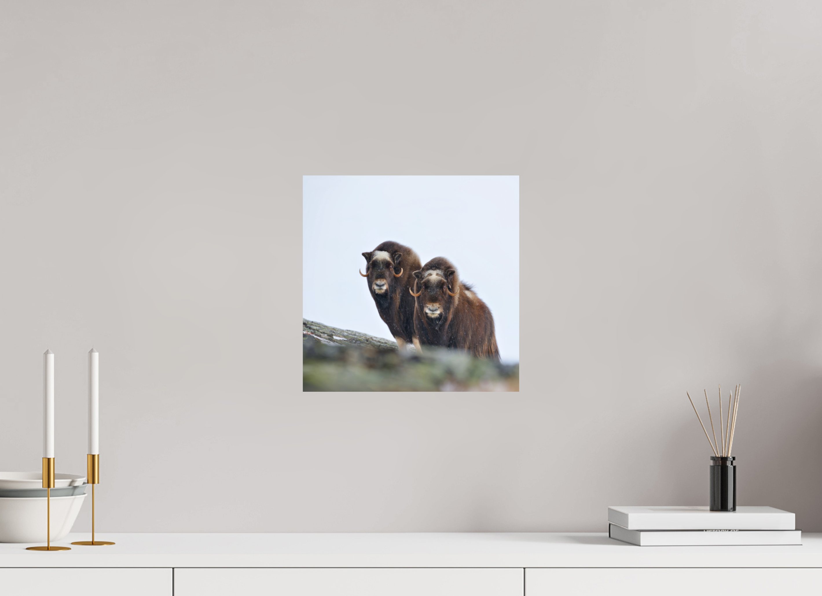30 x 30 cm, Photo Print On Fuji Crystal DP II The Musk Sisters - Photo Print