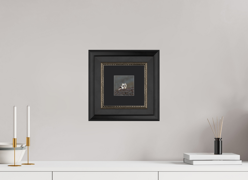 10 x 10 cm, Solid Wood Frame London Passe-partout Silver Arctiv Fox Scout -Solid Frame With Passe-Partout