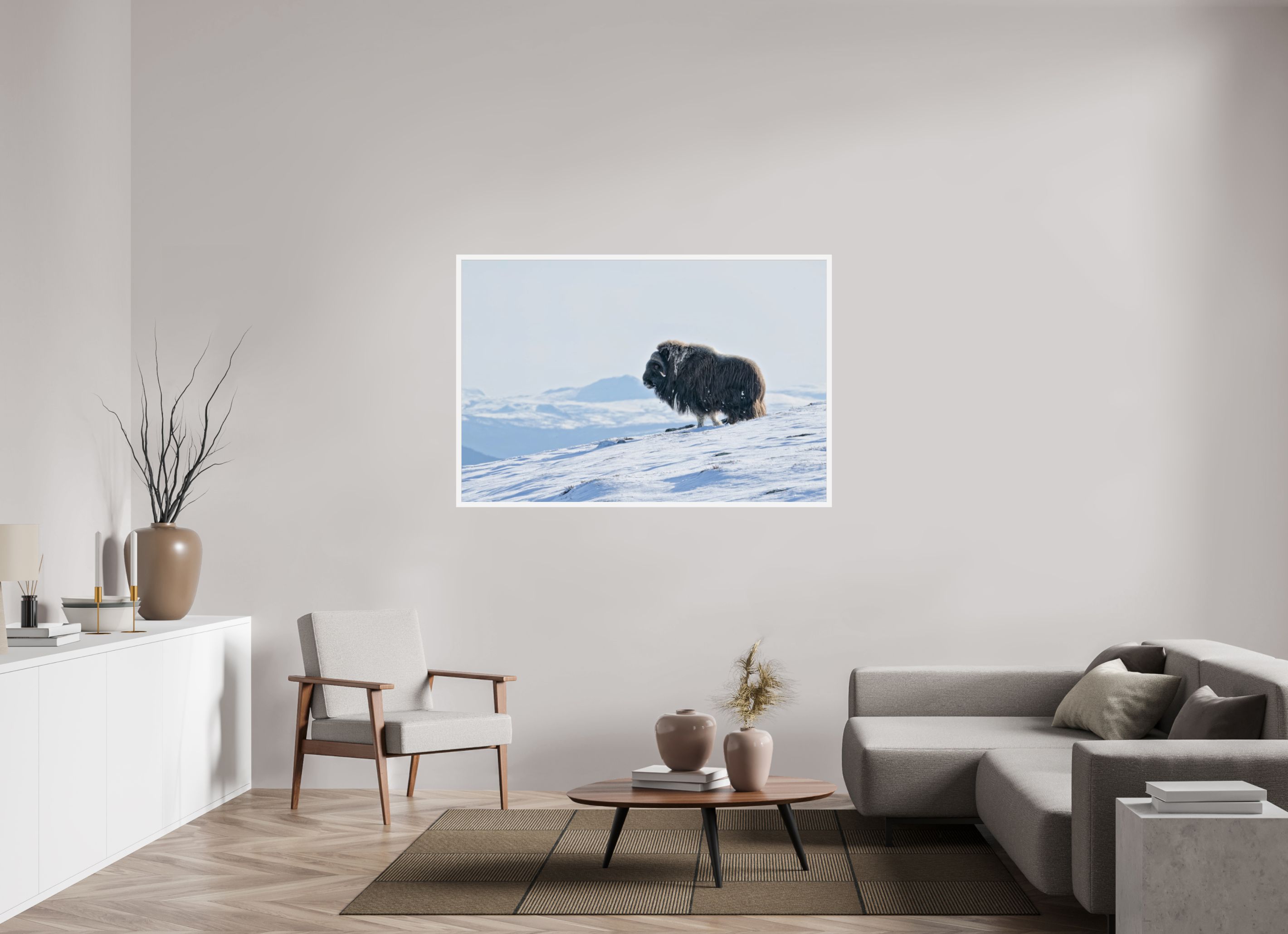 150 x 100 cm, Gallery Frame Hamburg Matte White Glossy Acrylic The Musk Ox Kingdom - In Solid 20 mm Wood Frame Hamburg Glossy