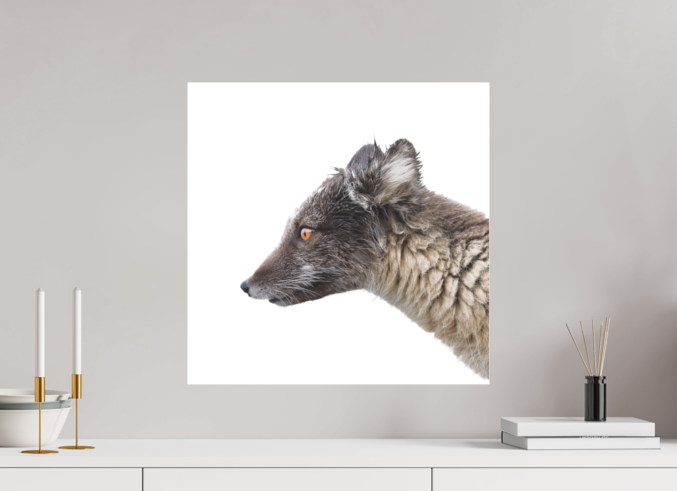 50 x 50 cm, Photo Print Under Matte Acrylic Glass 2mm Arctic Fox Brown - Under Acrylic Glass