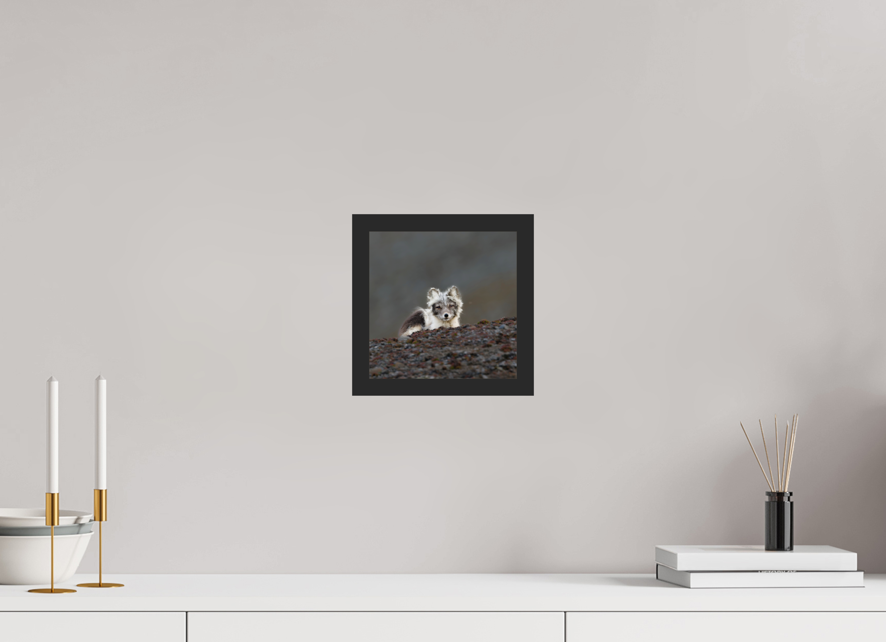 20 x 20 cm, Gallery Frame Hamburg 20mm Black Matte Glossy Acrylic Arctic Fox Scout- In Solid 20 mm Wood Frame Hamburg