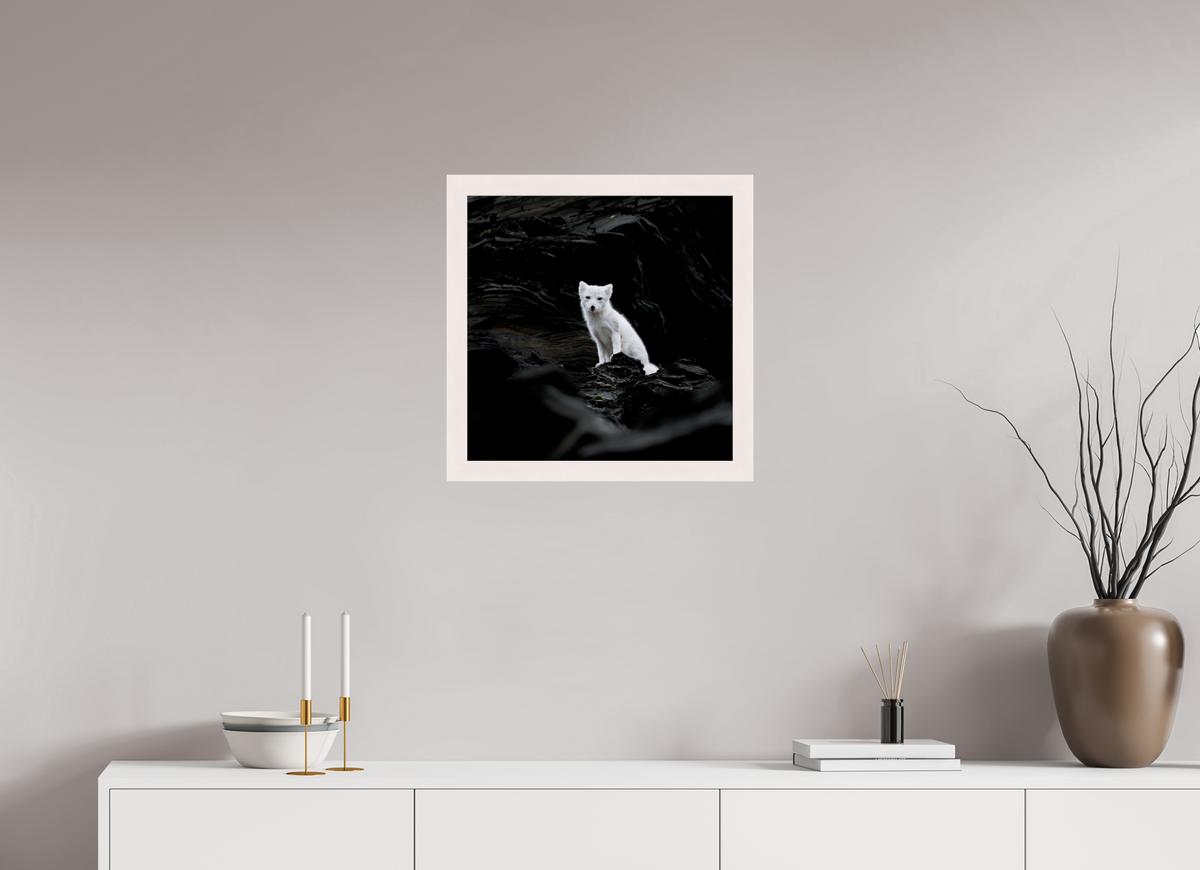 50 x 50 cm, Gallery Frame Hamburg 40mm White Glossy Acrylic Arctic Fox Angel - In Solid 40 mm Wood Frame Hamburg Glossy