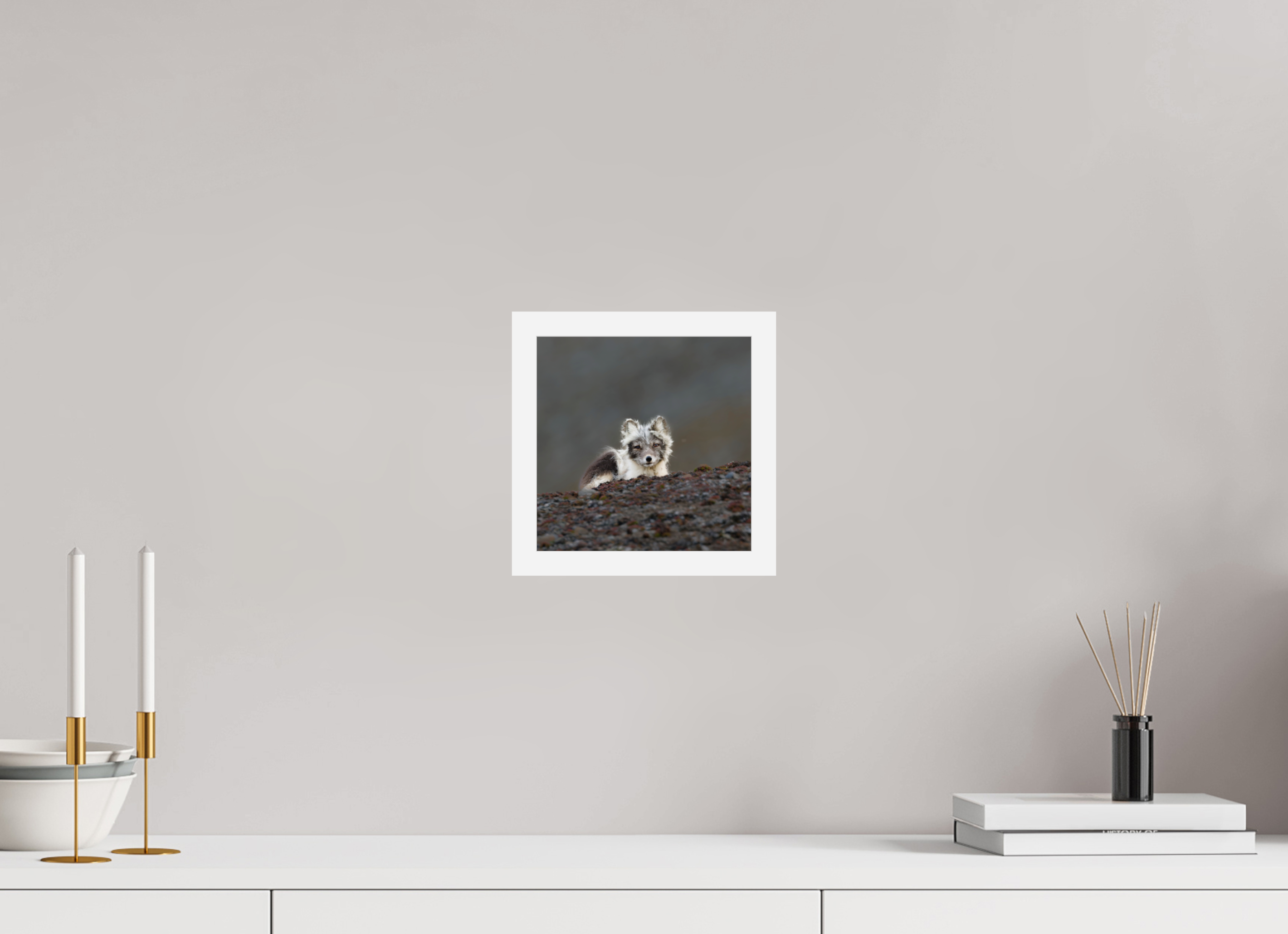 20 x 20 cm, Gallery Frame Hamburg 20mm White Glossy Acrylic Arctic Fox Scout- In Solid 20 mm Wood Frame Hamburg