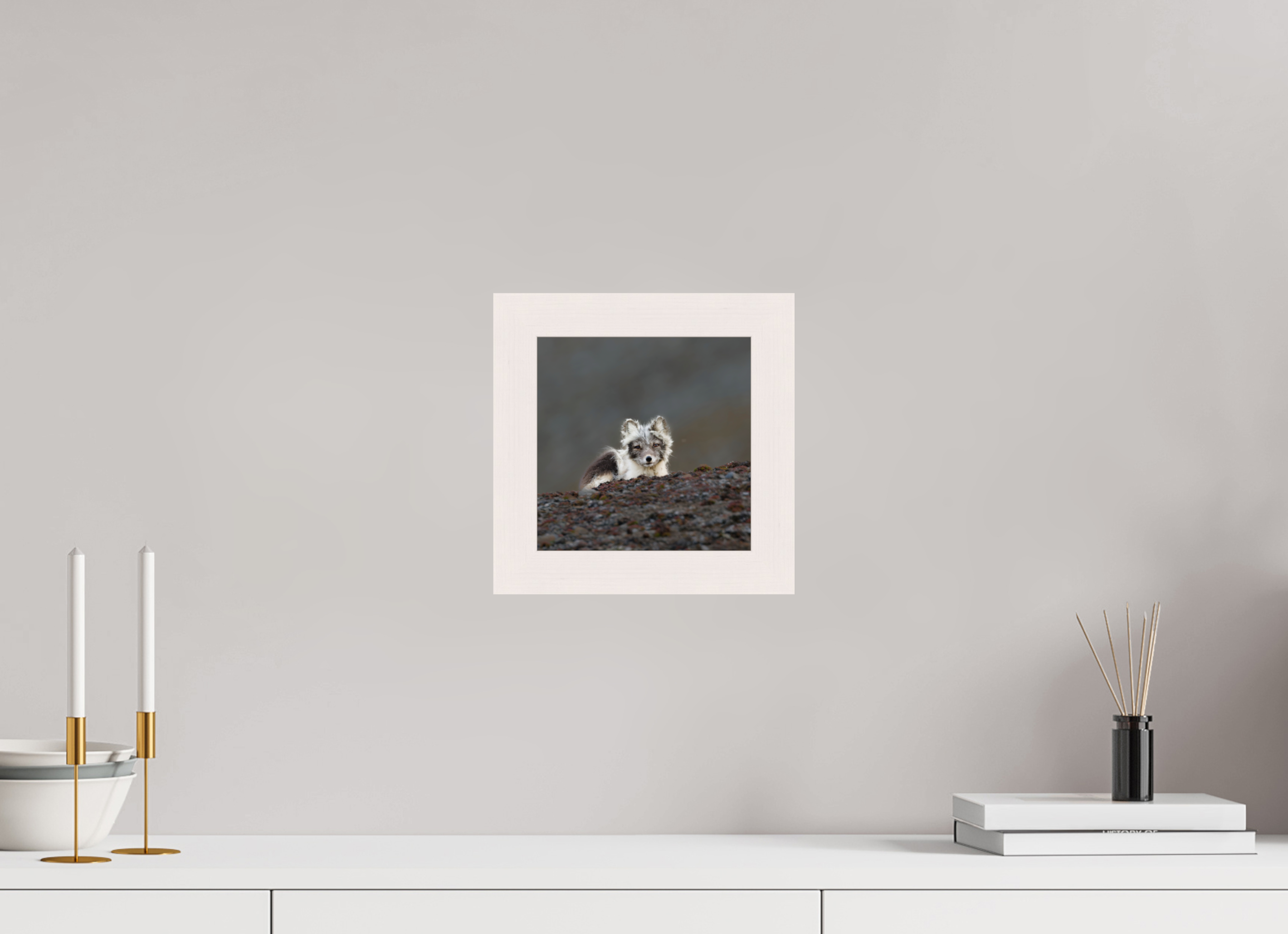 20 x 20 cm, Gallery Frame Hamburg 40mm White Glossy Acrylic Arctic Fox Scout- In Solid 40 mm Wood Frame Hamburg Glossy