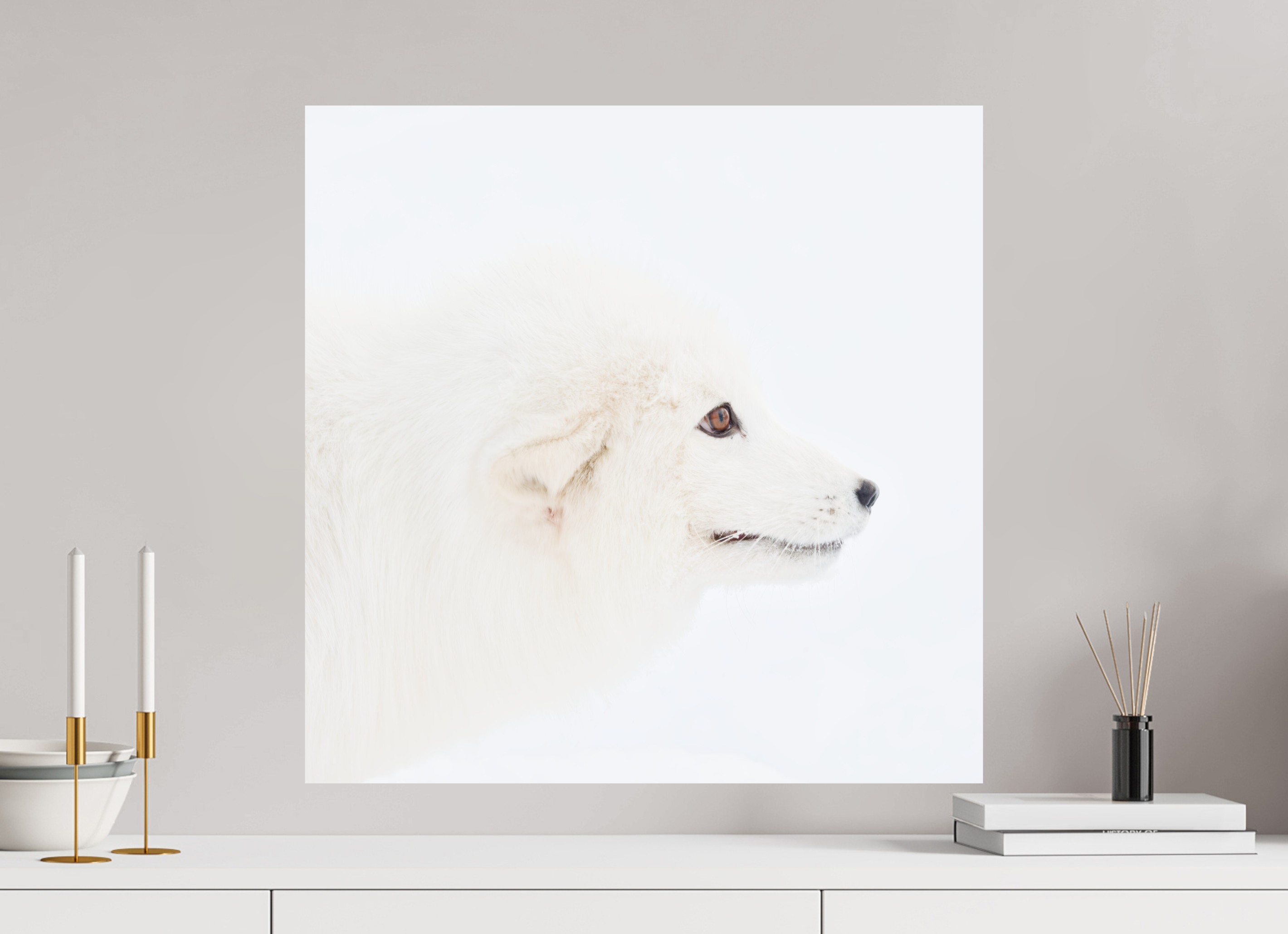 60 x 60 cm, Photo Print On Fuji Crystal DP II Arctic Fox Head - Photo Print