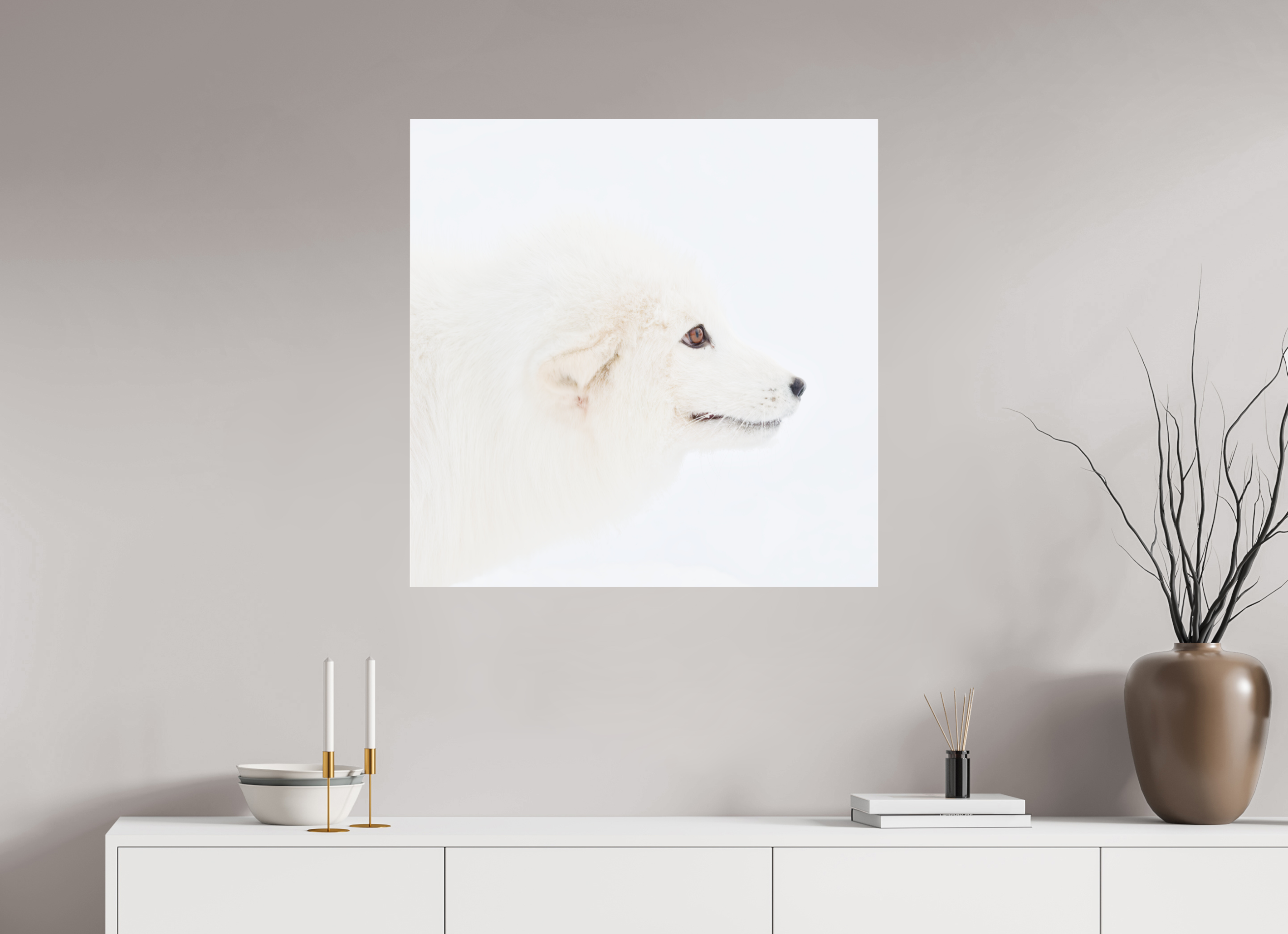80 x 80 cm, Photo Print Under Acrylic Glass Arctic Fox Head - Photo Print Under Acrylic Glass