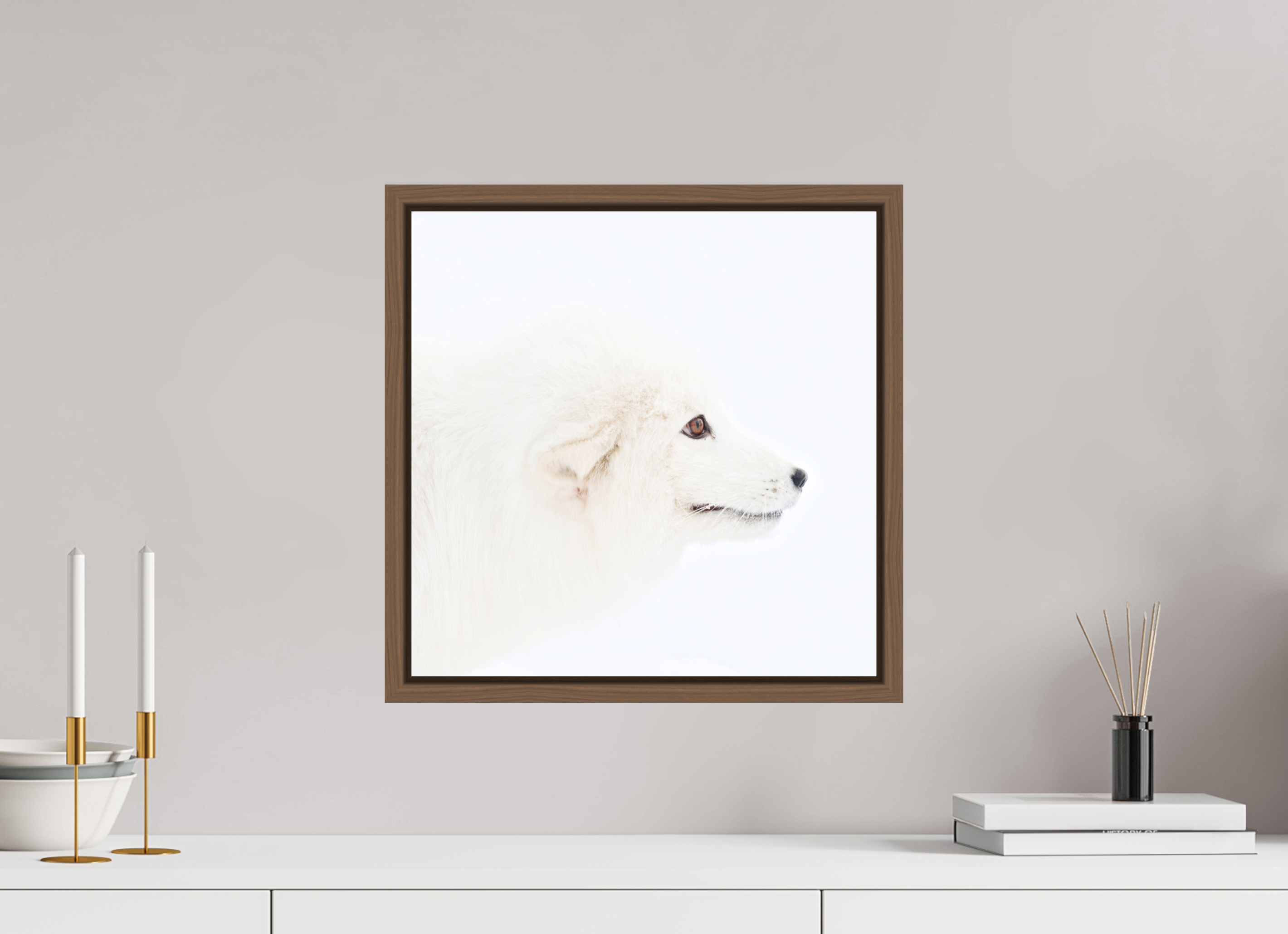 40 x 40 cm, Floater Frame Walnut Matte Acrylic Glass Arctic Fox Head - Floater Frame