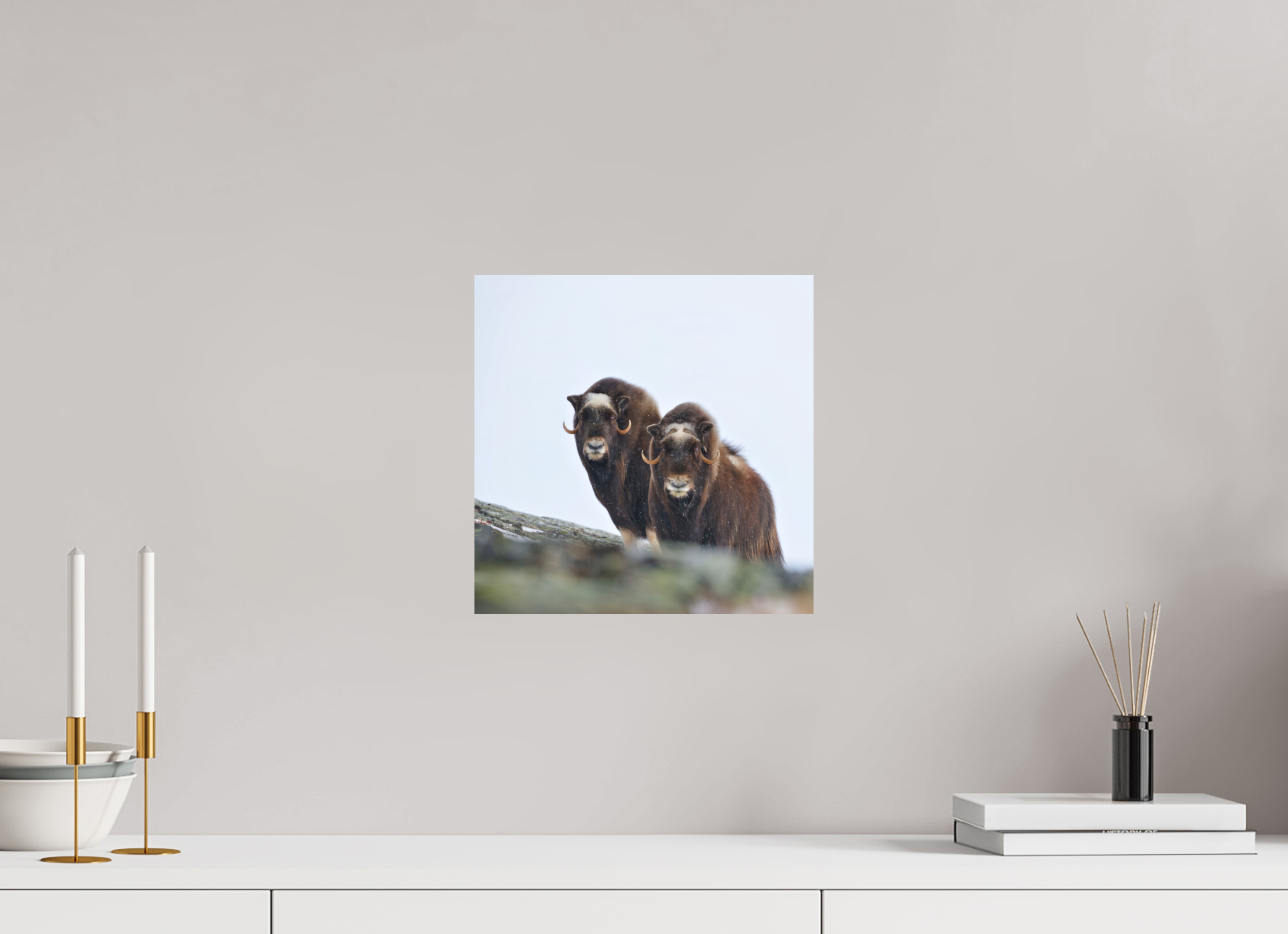 30 x 30 cm, Matte Photo Print The Musk Sisters - Photo Print
