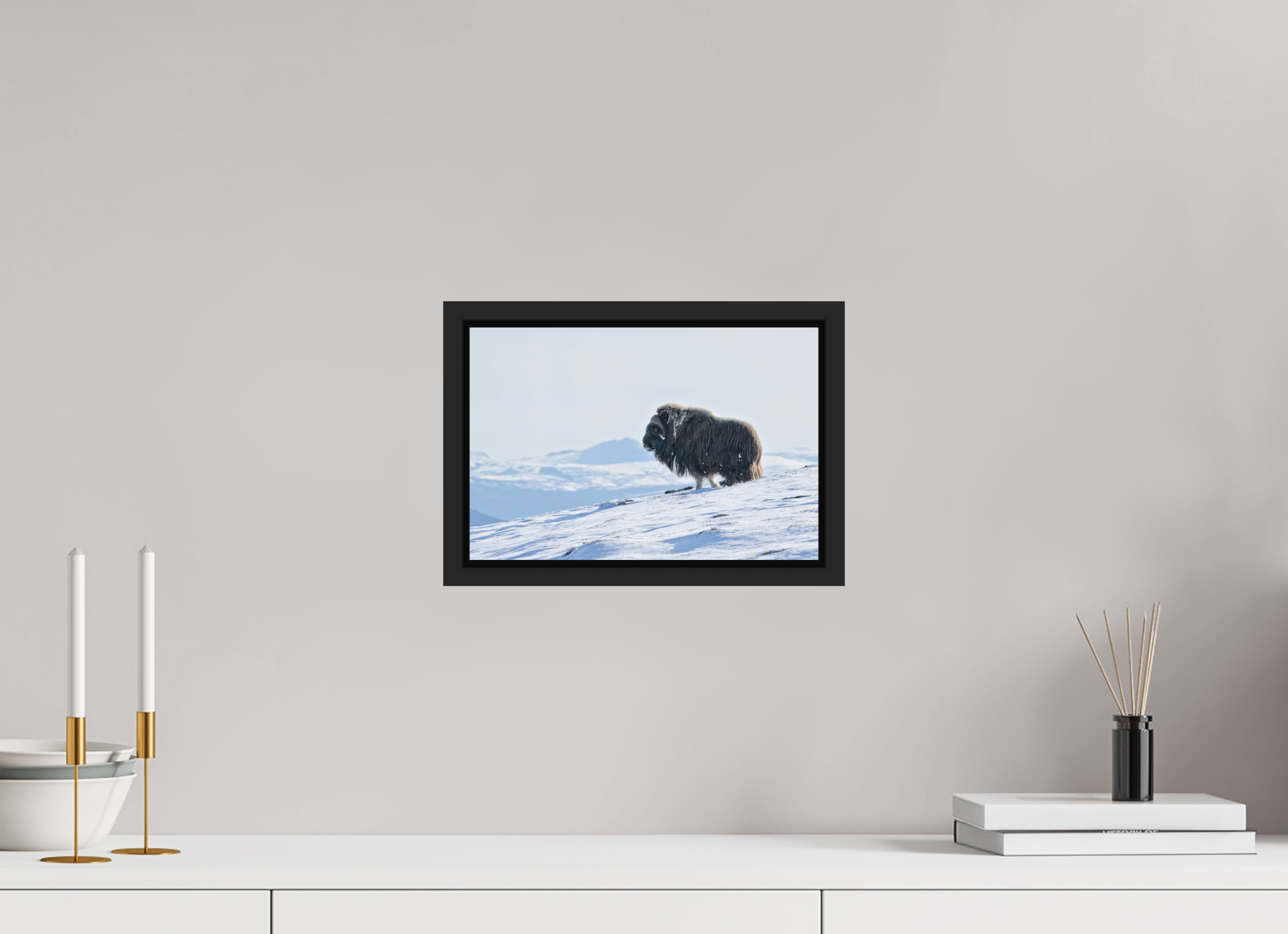 30 x 20 cm, Floater Frame Matte Black Matte Acrylic Glass The Musk Ox Kingdom - Floater Frame Matte Acrylic
