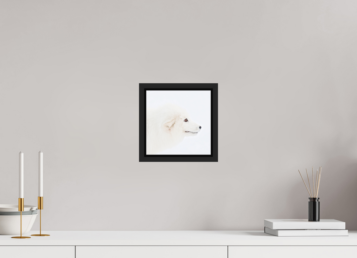 20 x 20 cm, Floater Frame Matte Black Glossy Acrylic Glass Arctic Fox Head - Floater Frame