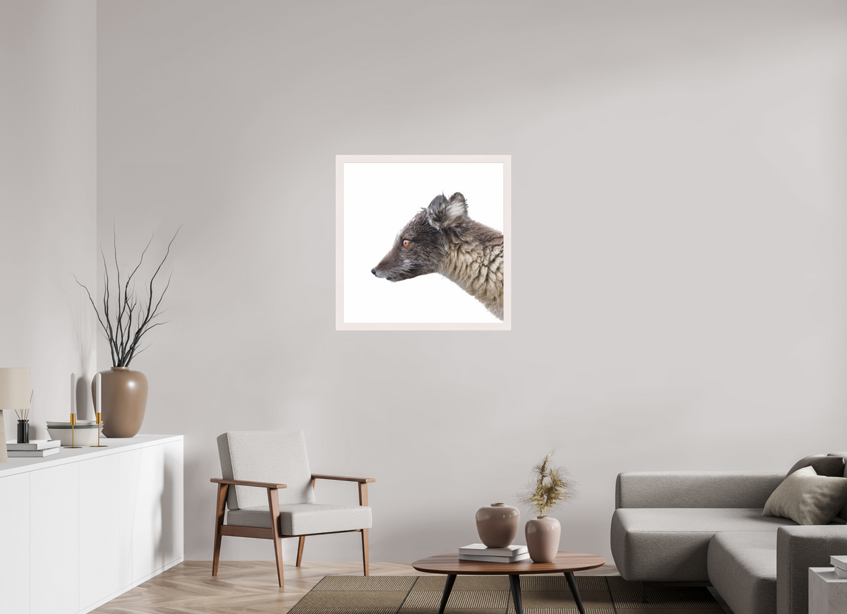 80 x 80 cm, Gallery Frame Hamburg 40mm White Glossy Acrylic Arctic Fox Angel - In Solid 40 mm Wood Frame Hamburg Glossy
