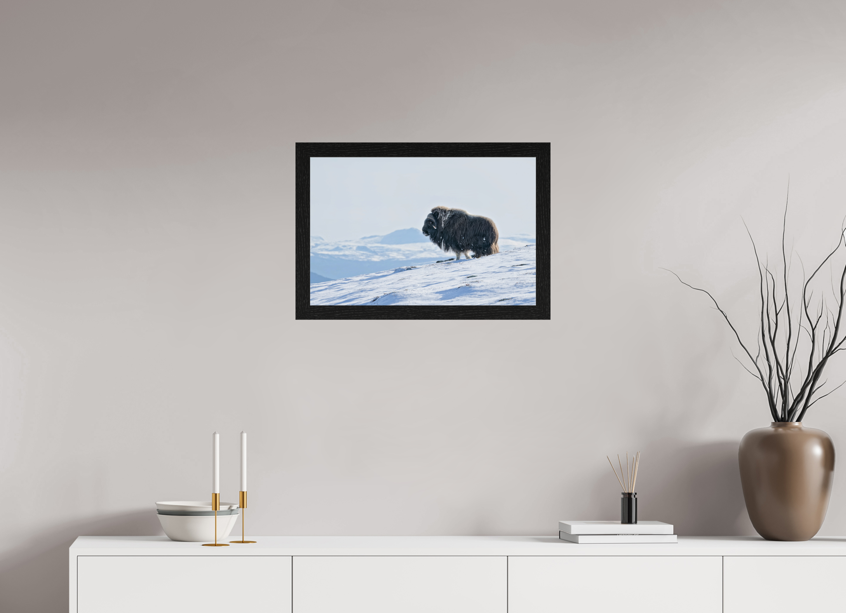 60 x 40 cm, Gallery Frame Hamburg 40mm Black Oak Glossy Acrylic Glass The Musk Ox Kingdom -  In Solid 40 mm Wood Frame Hamburg  Glossy Acrylic