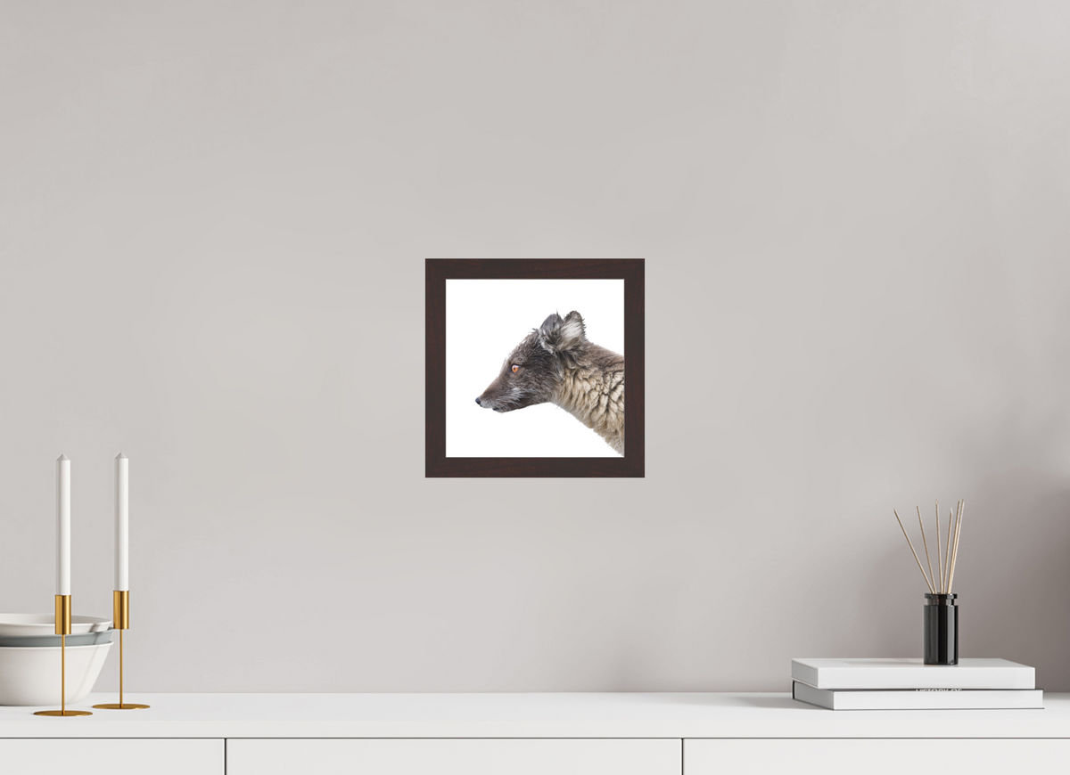 20 x 20 cm, Gallery Frame Hamburg 20mm Alder Brown Matte Acrylic Arctic Fox Brown - In Solid 20 mm Wood Frame Hamburg Matte
