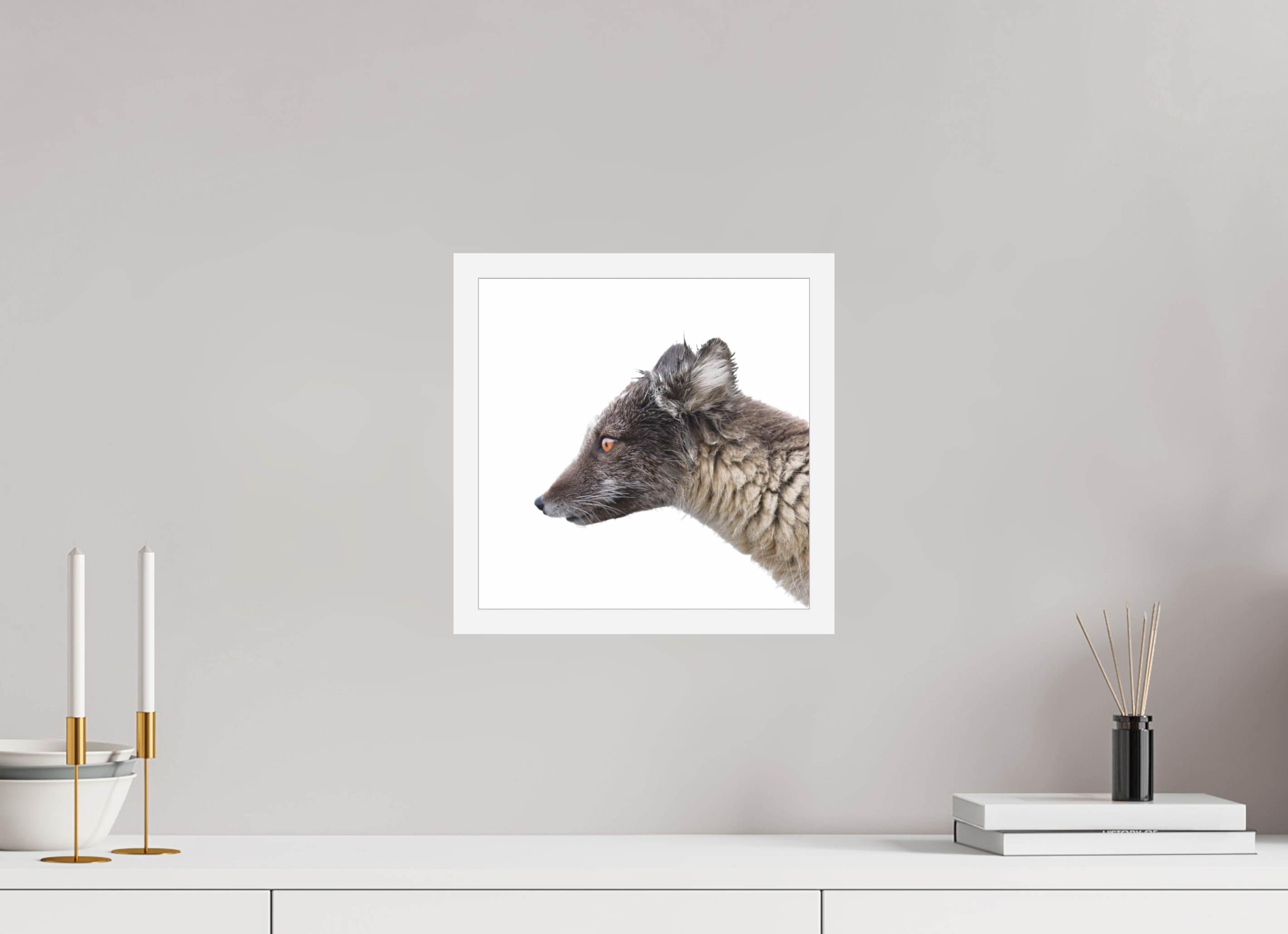 30 x 30 cm, Gallery Frame Hamburg 20mm White Glossy Acrylic Arctic Fox Brown - In Solid 20 mm Wood Frame Hamburg Glossy