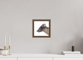 20 x 20 cm, Floater Frame Walnut Glossy Acrylic Glass Arctic Fox Brown - Floater Frame Glossy