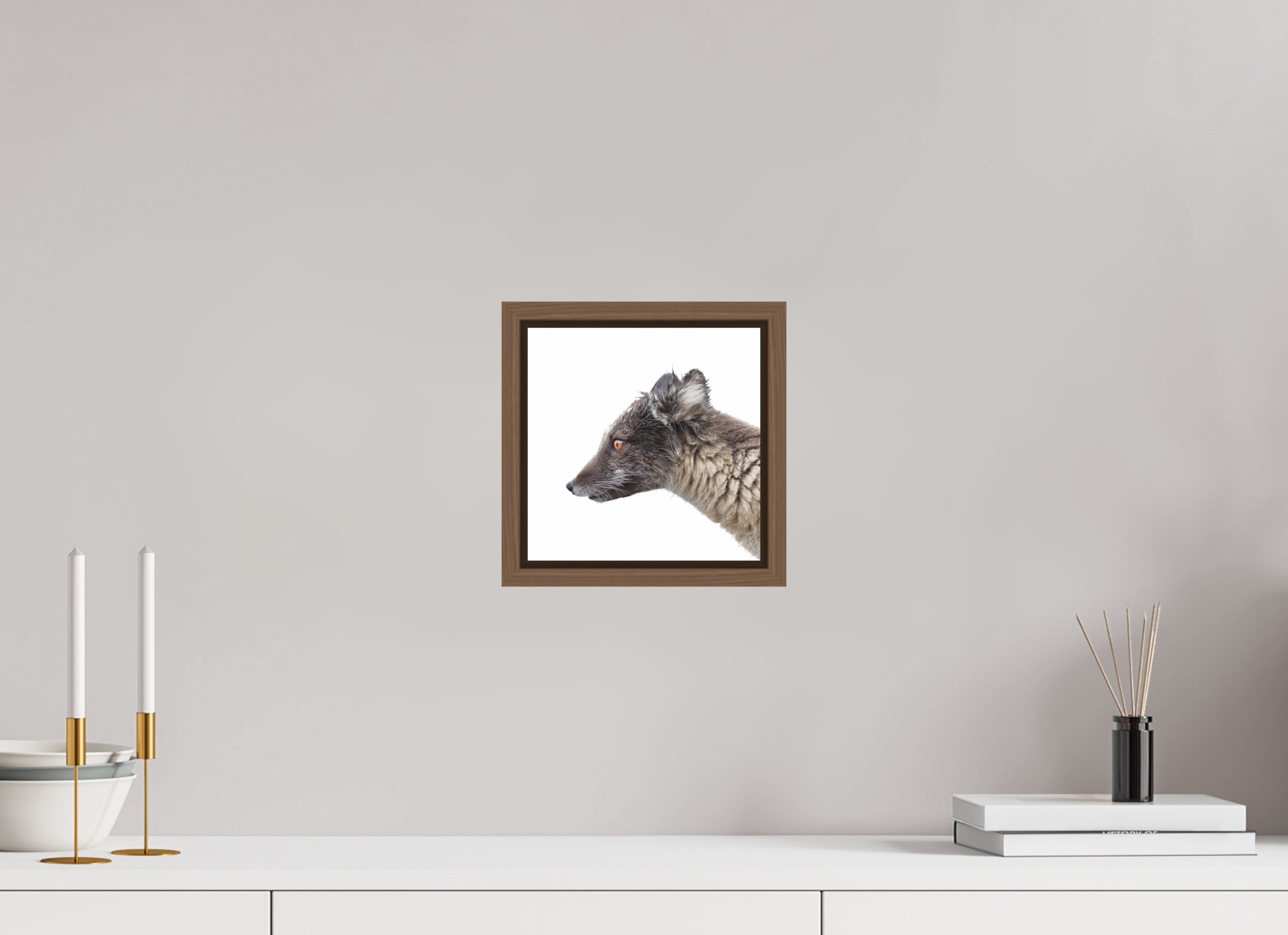 20 x 20 cm, Floater Frame Walnut Glossy Acrylic Glass Arctic Fox Brown - Floater Frame Glossy