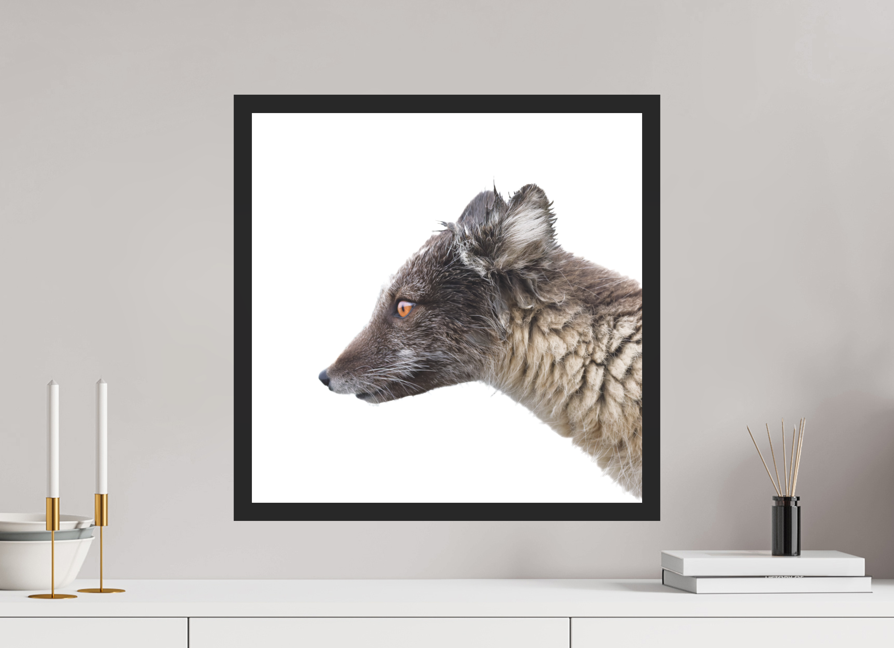 50 x 50 cm, Gallery Frame Hamburg 20mm Matte Black Matte Acrylic Arctic Fox Brown - In Solid 20 mm Wood Frame Hamburg Matte
