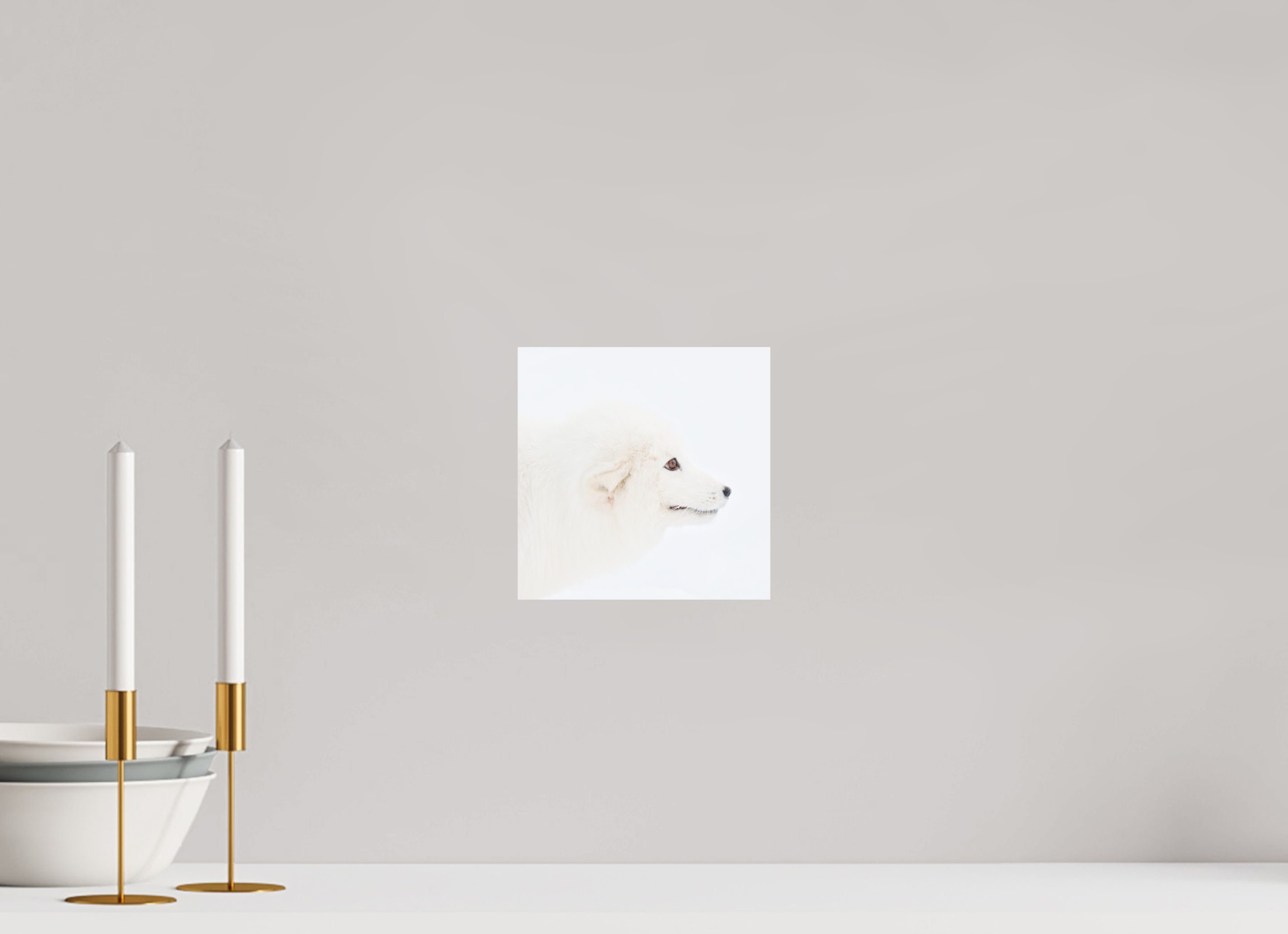 20 x 20 cm, Photo Print On Fuji Crystal DP II Arctic Fox Head - Photo Print