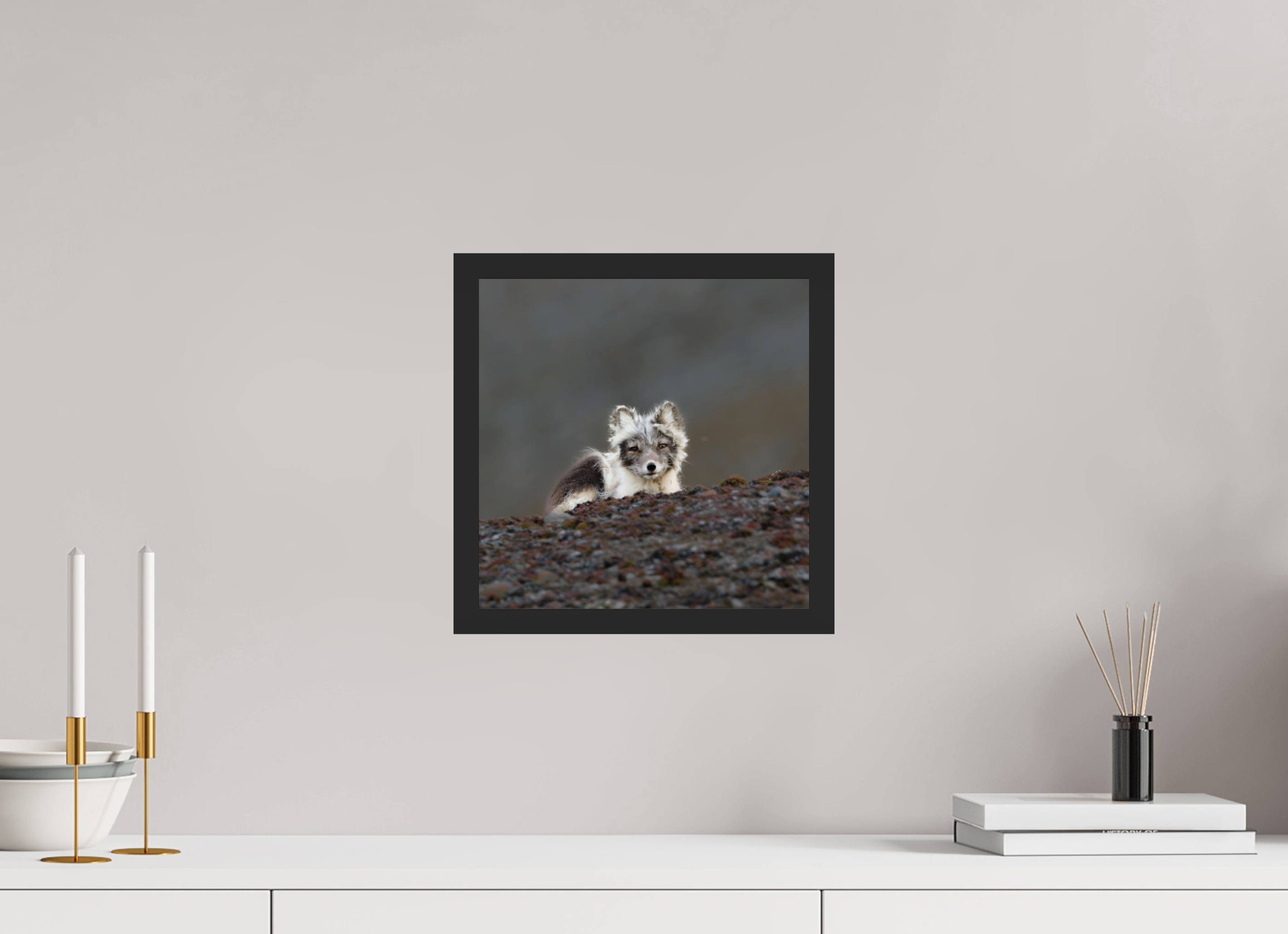 30 x 30 cm, Gallery Frame Hamburg 20mm Black Matte Glossy Acrylic Arctic Fox Scout- In Solid 20 mm Wood Frame Hamburg