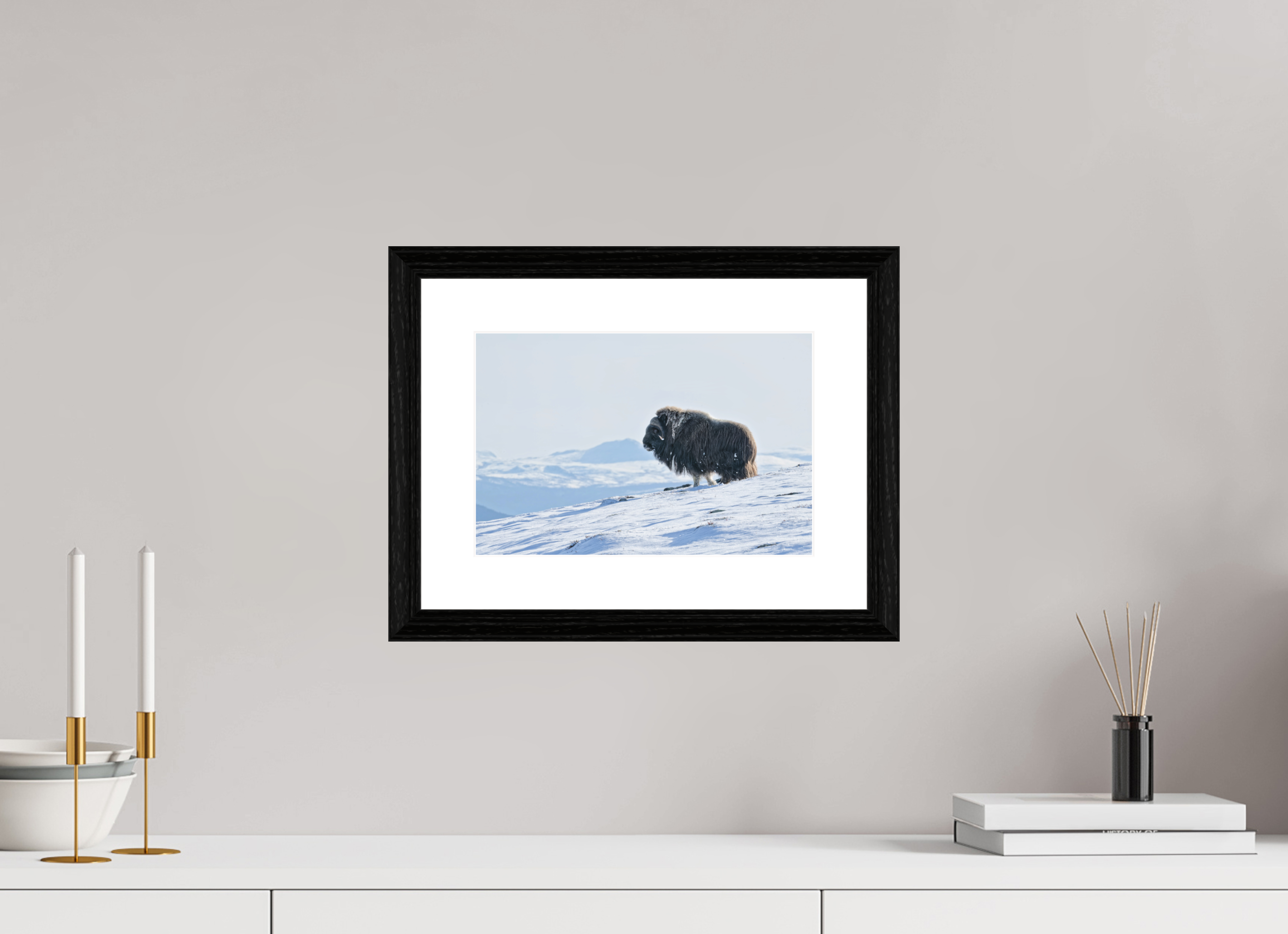 30 x 20 cm, Solid Wood Black Oak Frame Vienna White Passe-partout The Musk Ox Kingdom -  Solid Frame White Passe-Partout