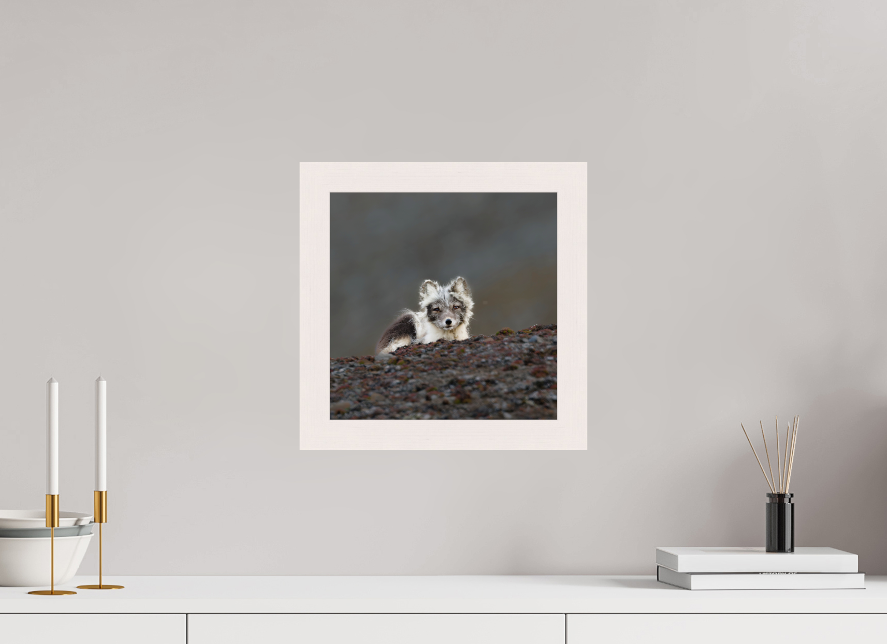 30 x 30 cm, Gallery Frame Hamburg 40mm White Glossy Acrylic Arctic Fox Scout- In Solid 40 mm Wood Frame Hamburg Glossy