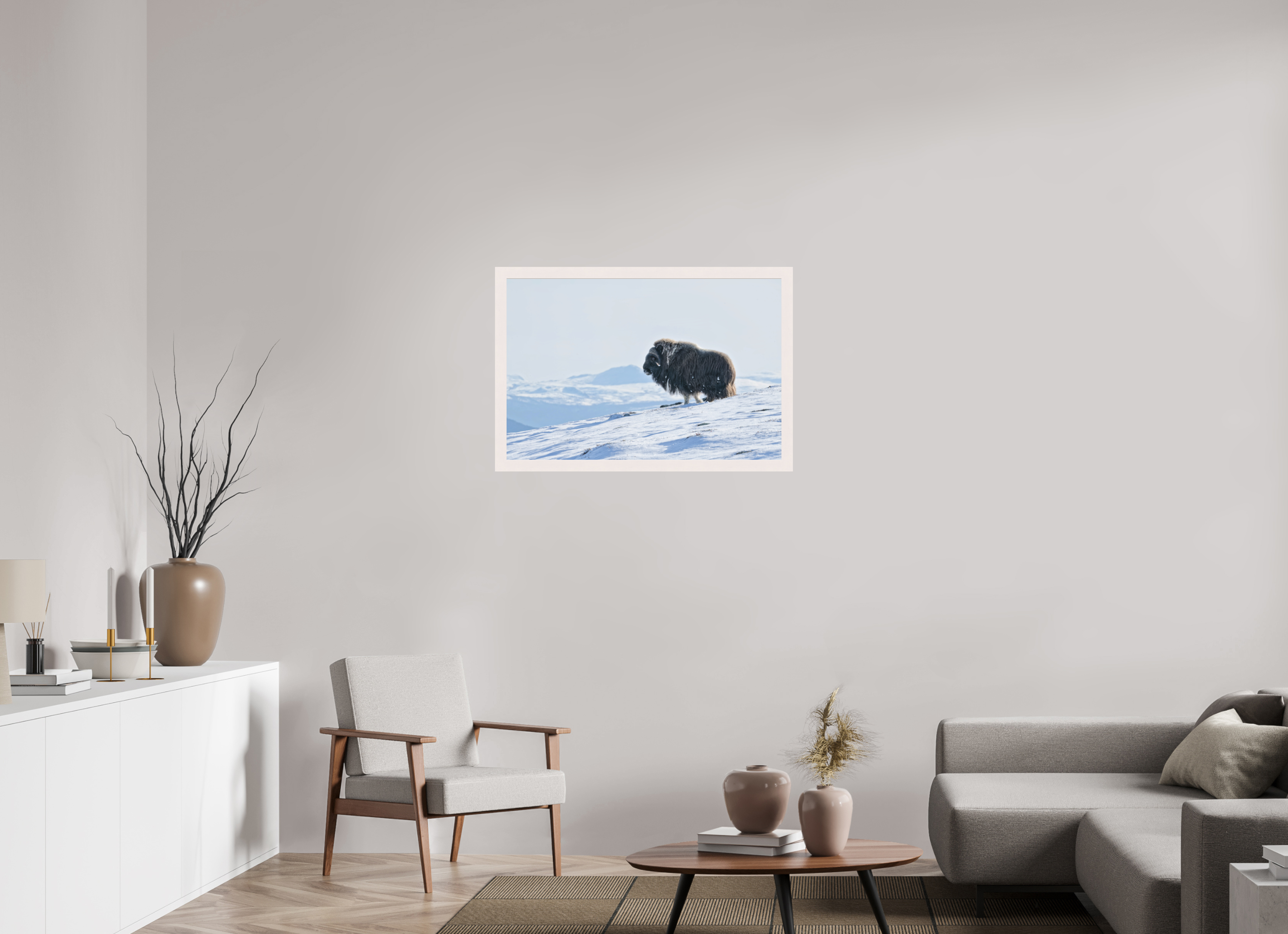 90 x 60 cm, Gallery Frame Hamburg 40mm White Maple Matte Acrylic Glass The Musk Ox Kingdom - In Solid 40 mm Wood Frame Hamburg Glossy Acrylic