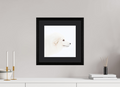30 x 30 cm, Solid Wood Frame Vienna Passe-partout Black Oak Arctic Fox Head - Solid Frame With Passe-Partout