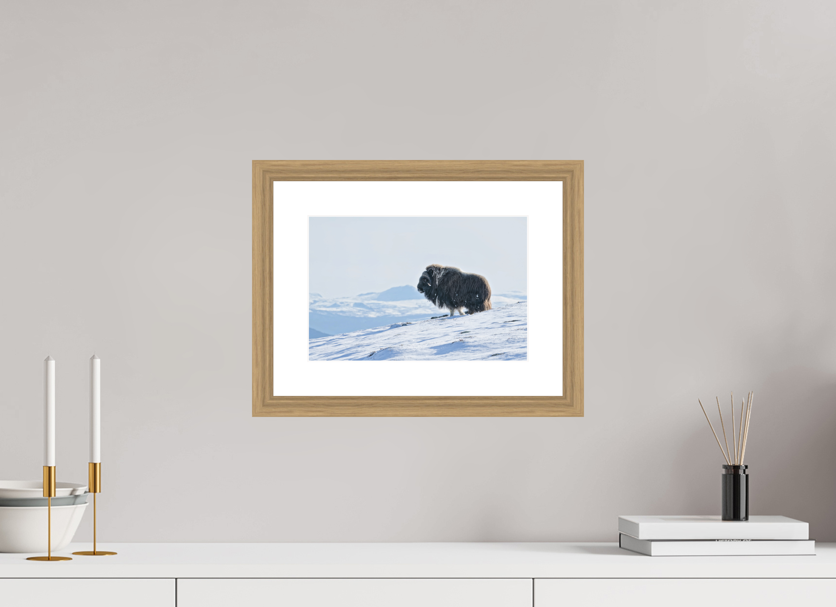 30 x 20 cm, Solid Wood Natural Oak Frame Vienna White Passe-partout The Musk Ox Kingdom -  Solid Frame White Passe-Partout
