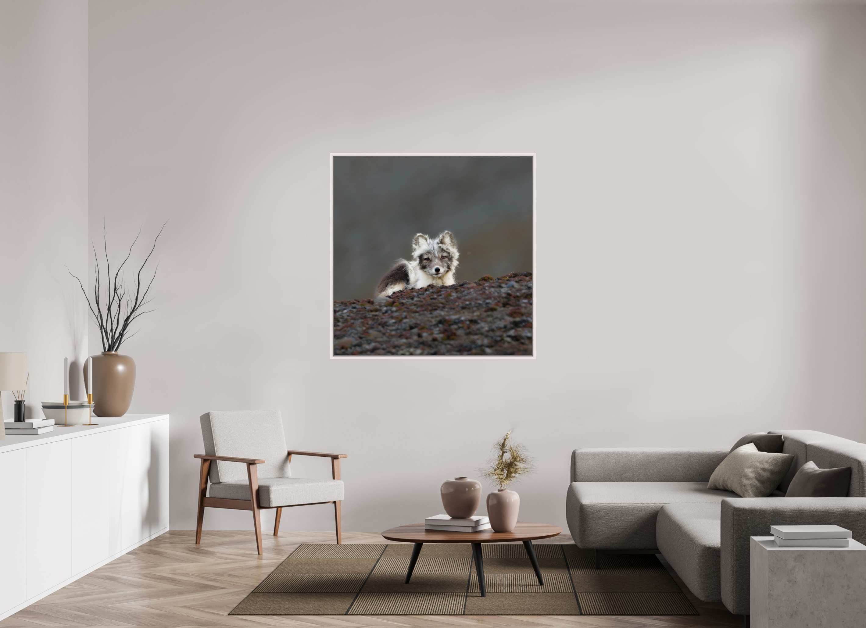 120 x 120 cm, Floater Frame Maple White Glossy Acrylic Glass Arctic Fox Scout - Floater Frame Glossy