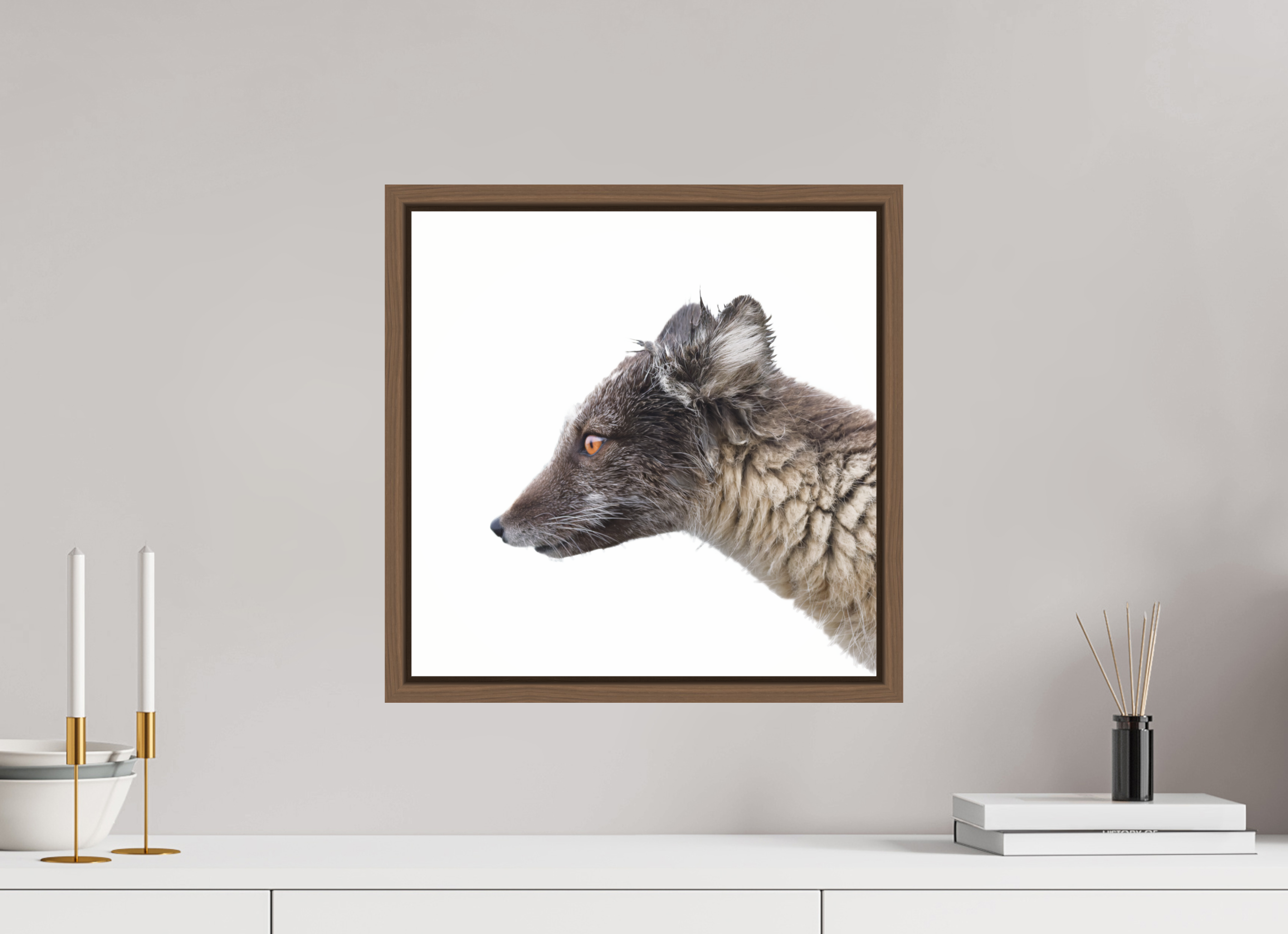 40 x 40 cm, Floater Frame Walnut Glossy Acrylic Glass Arctic Fox Brown - Floater Frame Glossy