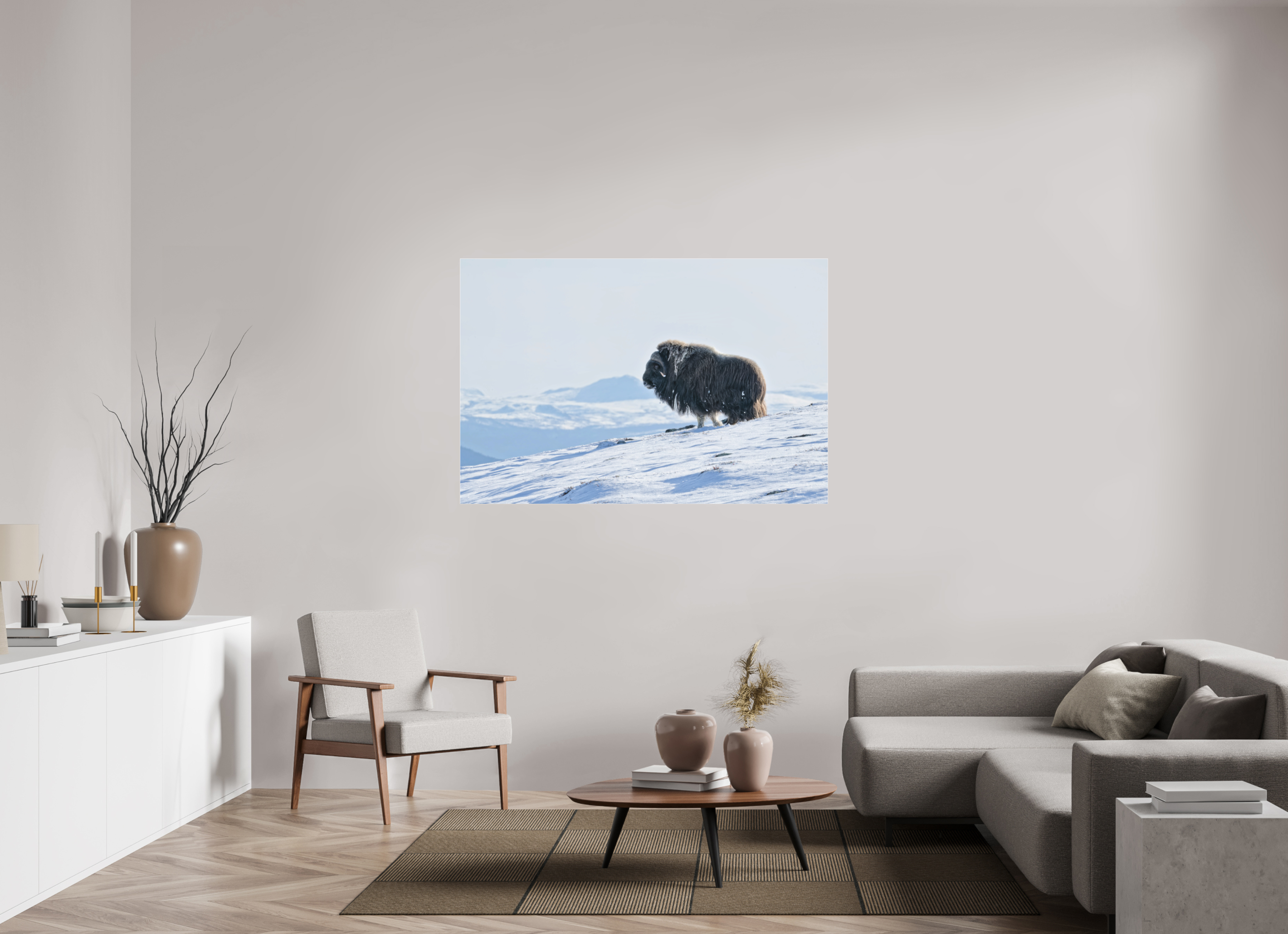 150 x 100 cm, Photo Print Under Matte Acrylic Glass 2mm The Musk Ox Kingdom - Photo Print Under Acrylic Glass