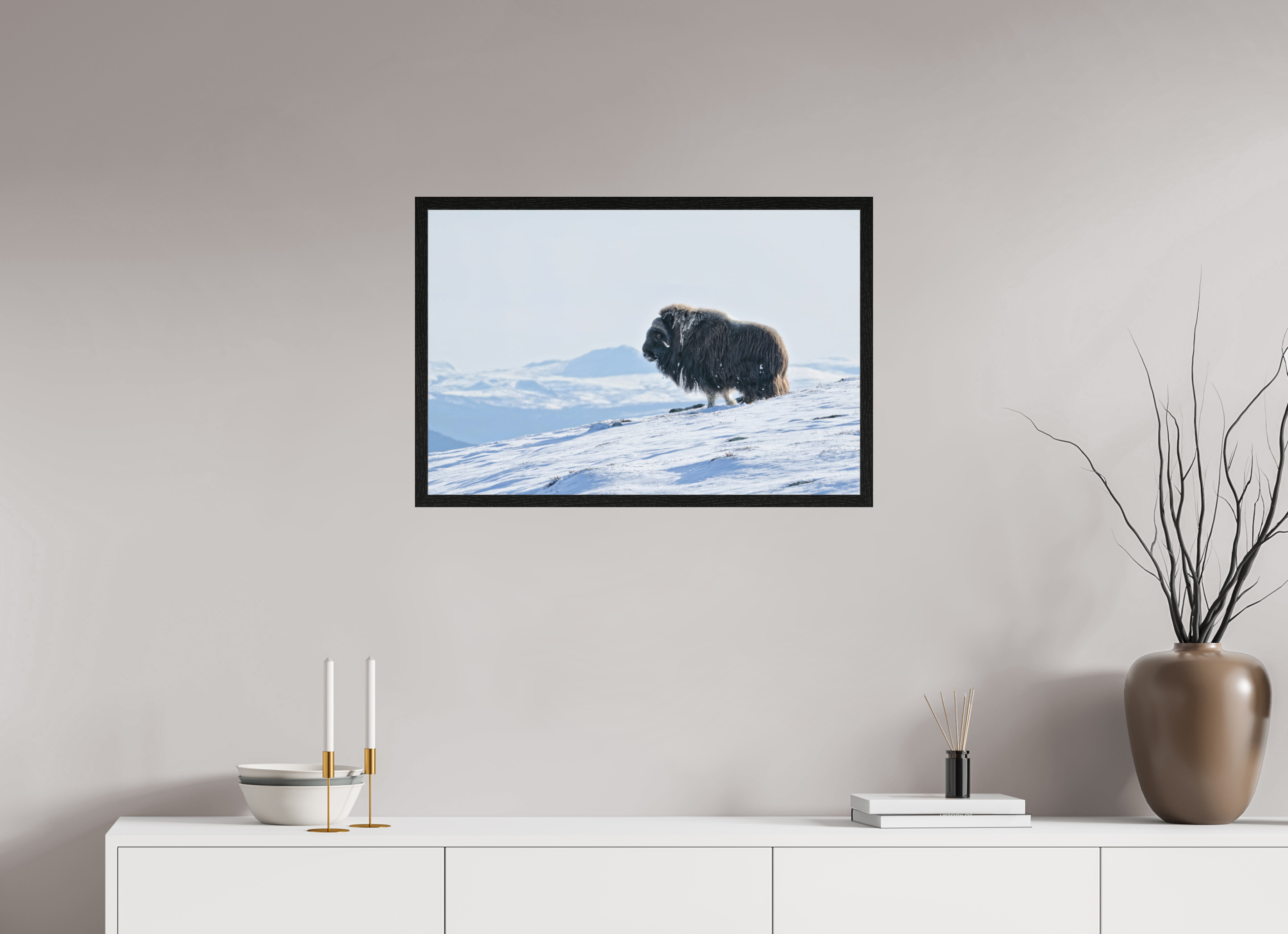 75 x 50 cm, Gallery Frame Hamburg 20mm Black Oak Matte Acrylic The Musk Ox Kingdom - In Solid 20 mm Wood Frame Hamburg Matte Acrylic