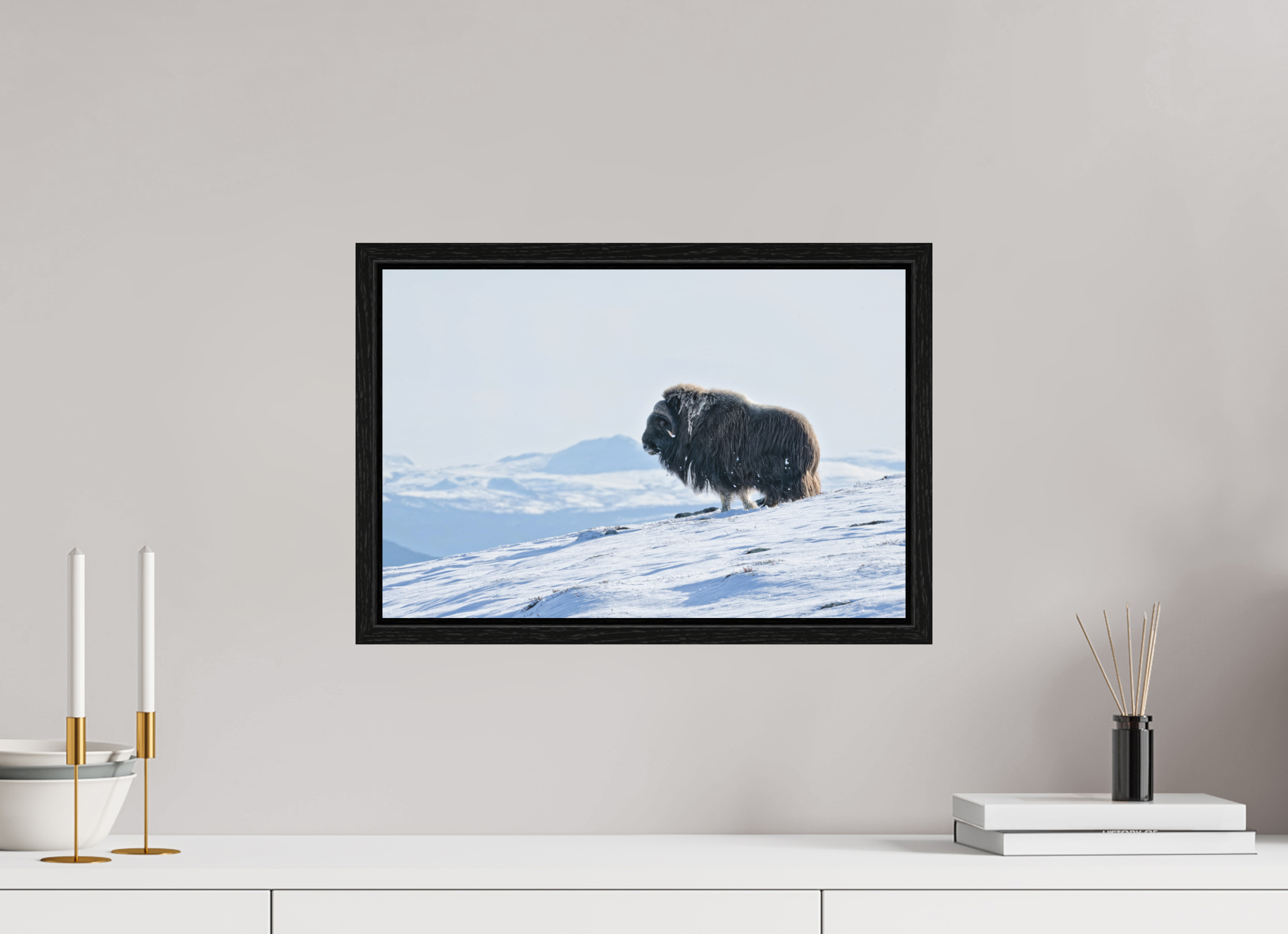 45 x 30 cm, Floater Frame Black Oak Matte Acrylic Glass The Musk Ox Kingdom - Floater Frame Matte Acrylic