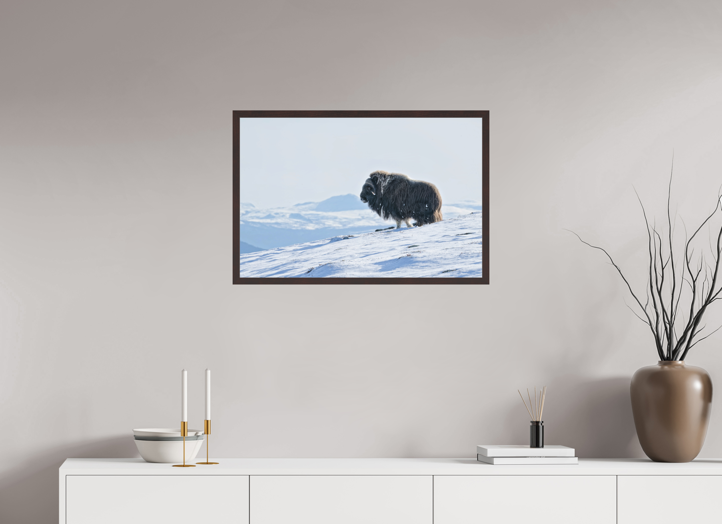 75 x 50 cm, Gallery Frame Hamburg 20mm Alder Brown Matte Acrylic The Musk Ox Kingdom - In Solid 20 mm Wood Frame Hamburg Matte Acrylic