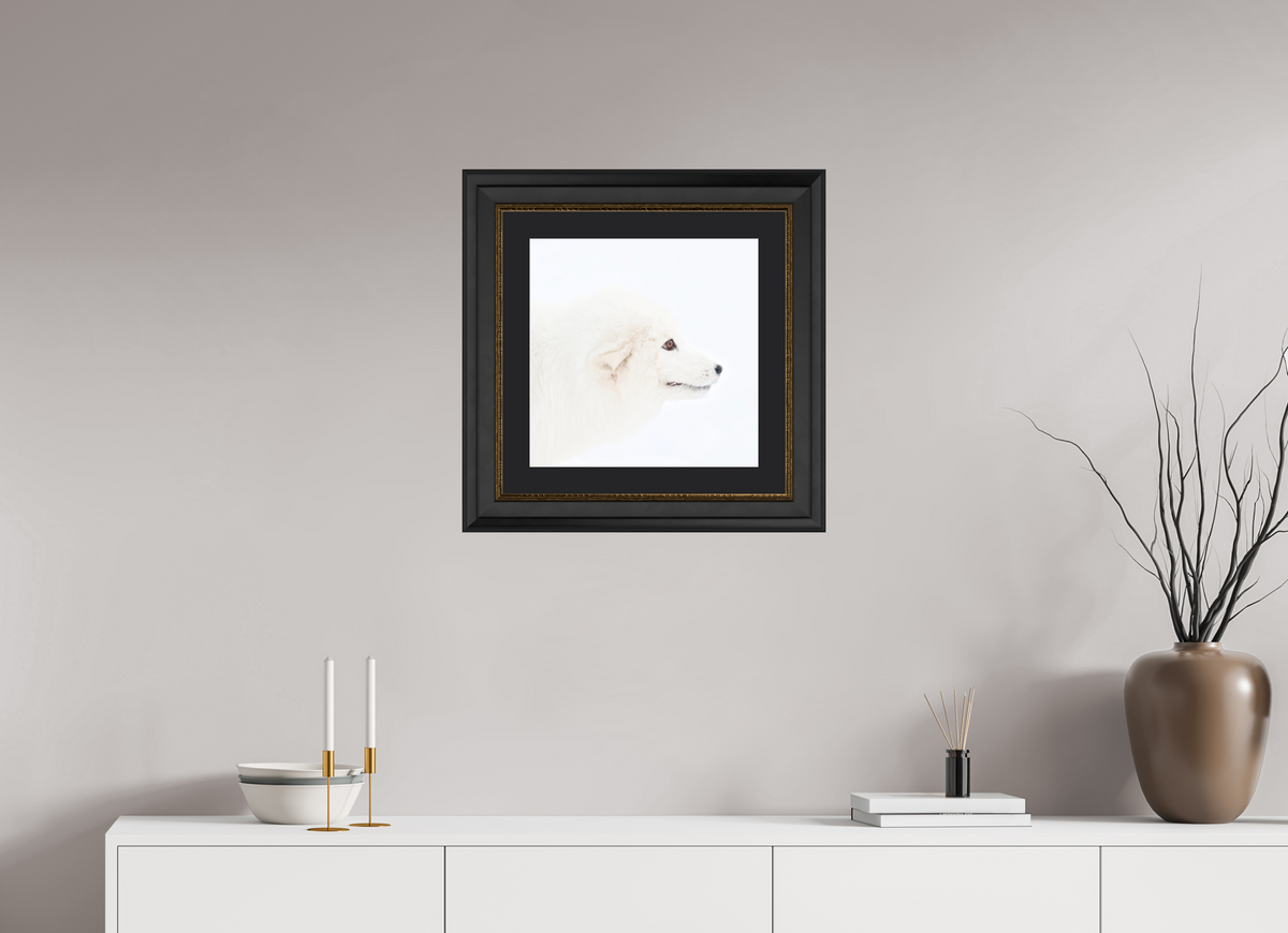 40 x 40 cm, Solid Wood Frame London Passe-partout Gold Arctic Fox Head - Solid Frame With Passe-Partout