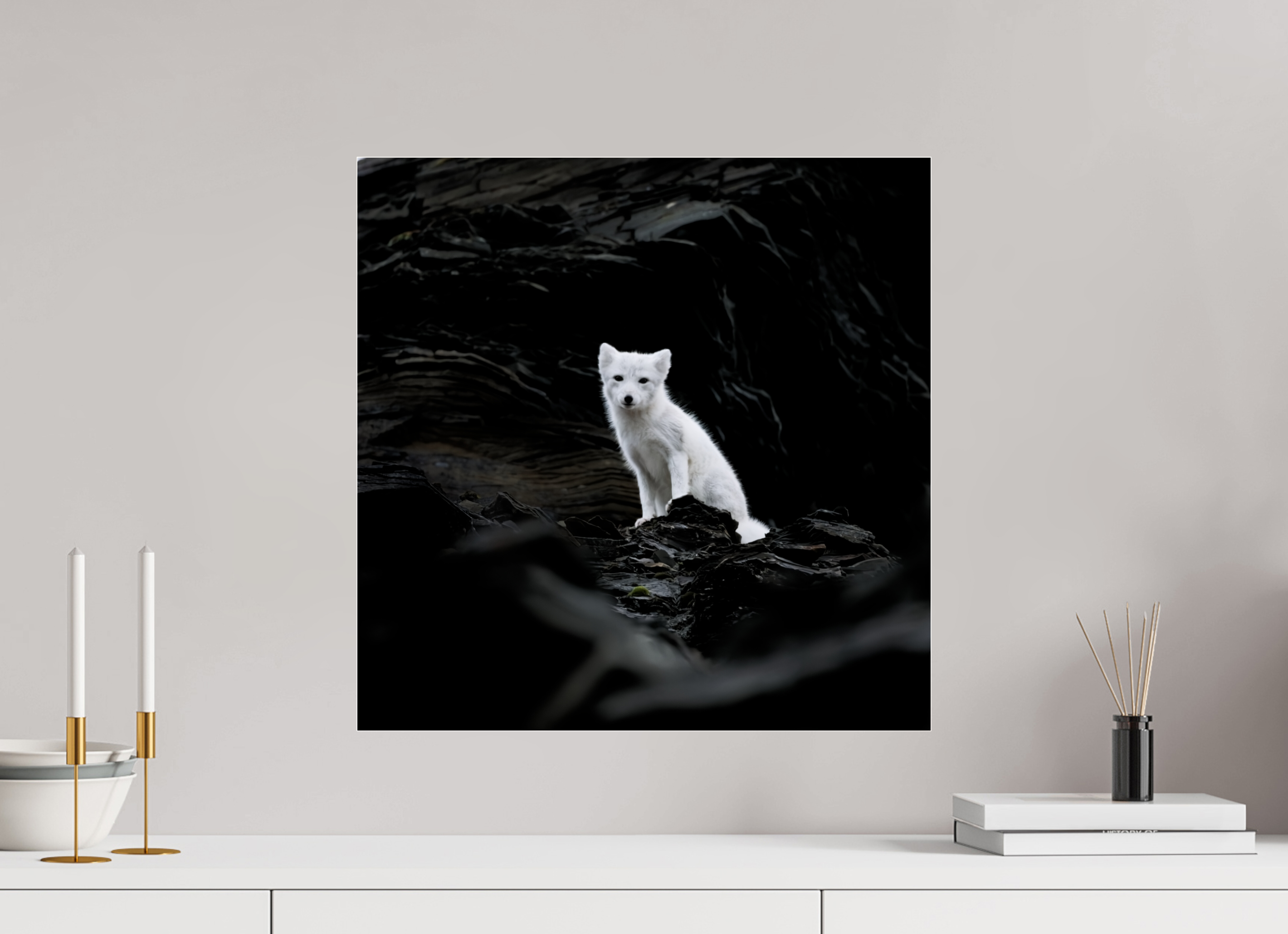 50 x 50 cm, Photo Print Under Glossy Acrylic Glass 2mm Arctic Fox Angel - Under Acrylic Glass