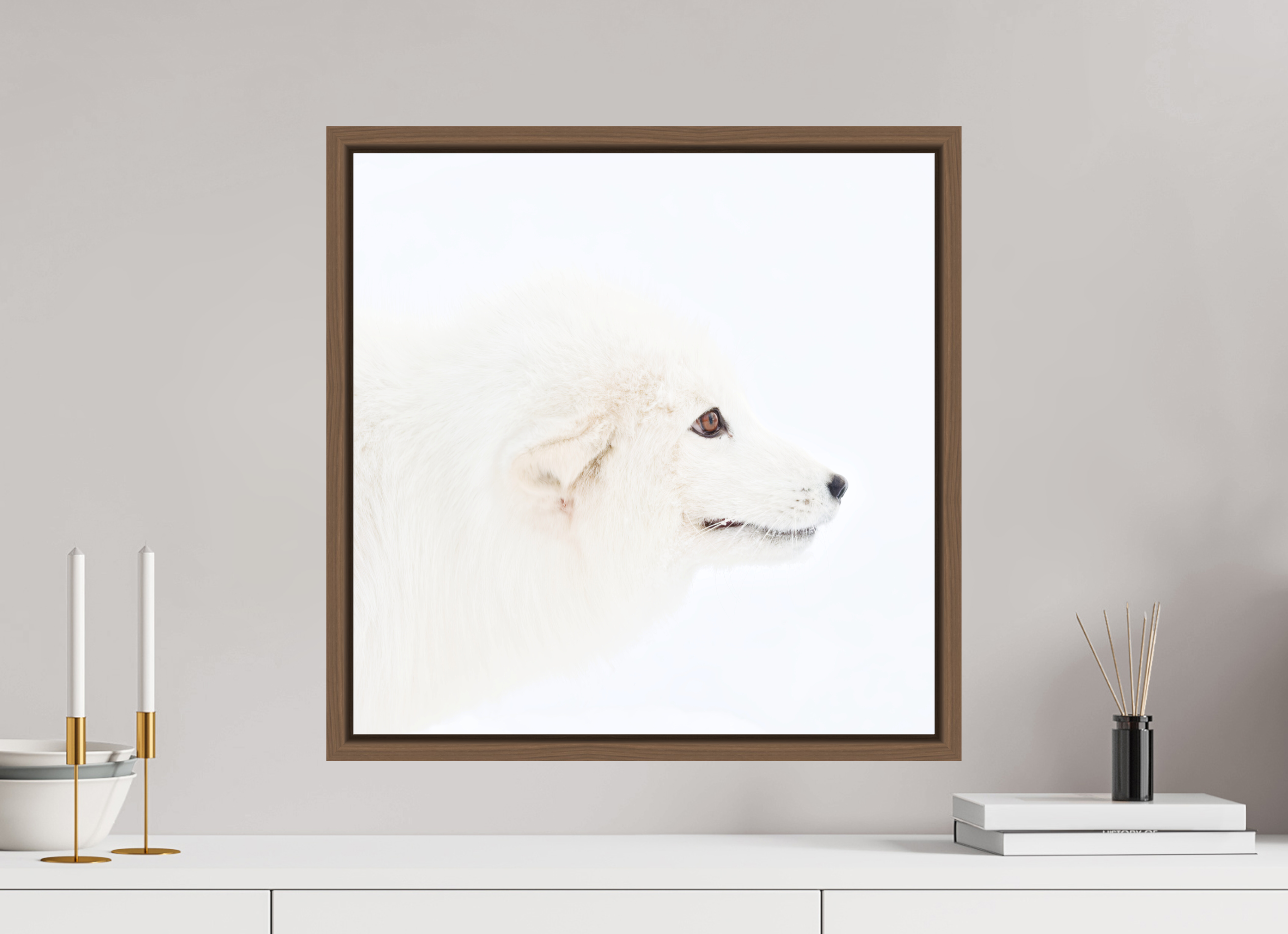50 x 50 cm, Floater Frame Walnut Matte Acrylic Glass Arctic Fox Head - Floater Frame