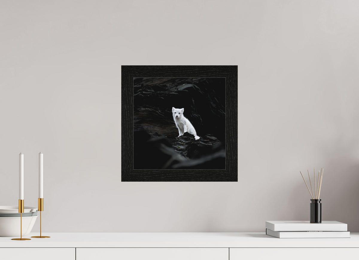 30 x 30 cm, Gallery Frame Hamburg 40mm Black Oak Matte Acrylic Arctic Fox Angel- In Solid 40 mm Wood Frame Hamburg Matte