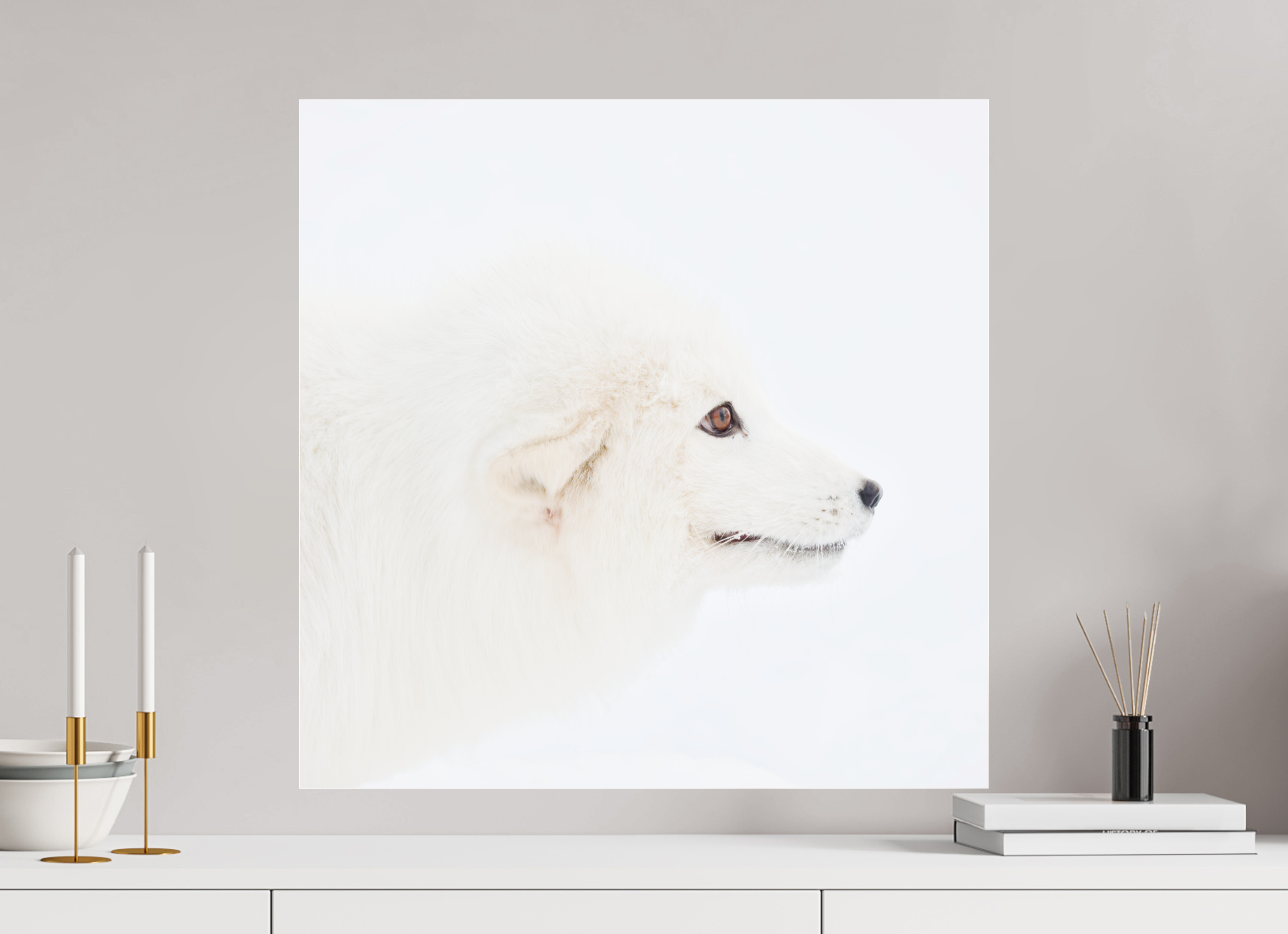 60 x 60 cm, Photo Print Under Acrylic Glass Arctic Fox Head - Photo Print Under Acrylic Glass