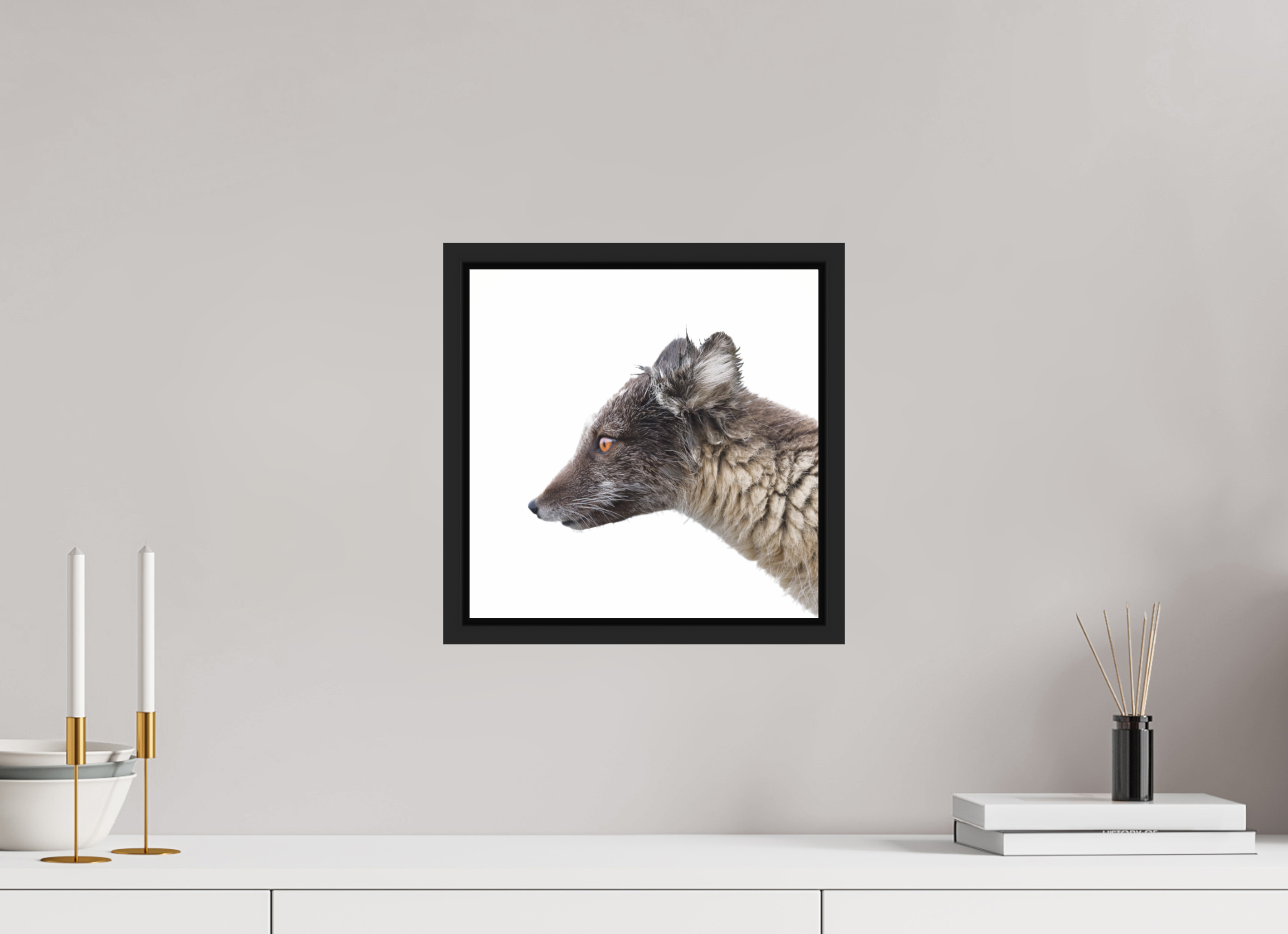 30 x 30 cm, Floater Frame Matte Black Glossy Acrylic Glass Arctic Fox Brown - Floater Frame Glossy