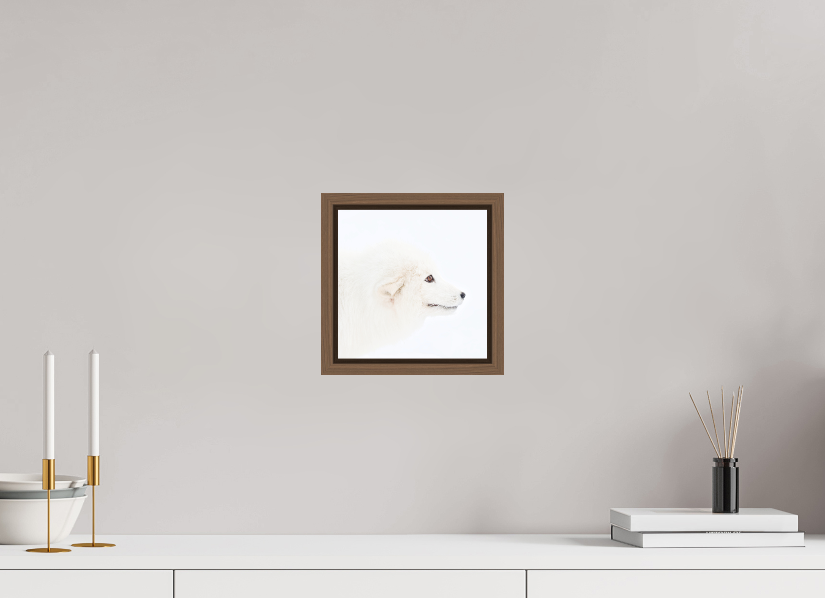 20 x 20 cm, Floater Frame Walnut Matte Acrylic Glass Arctic Fox Head - Floater Frame