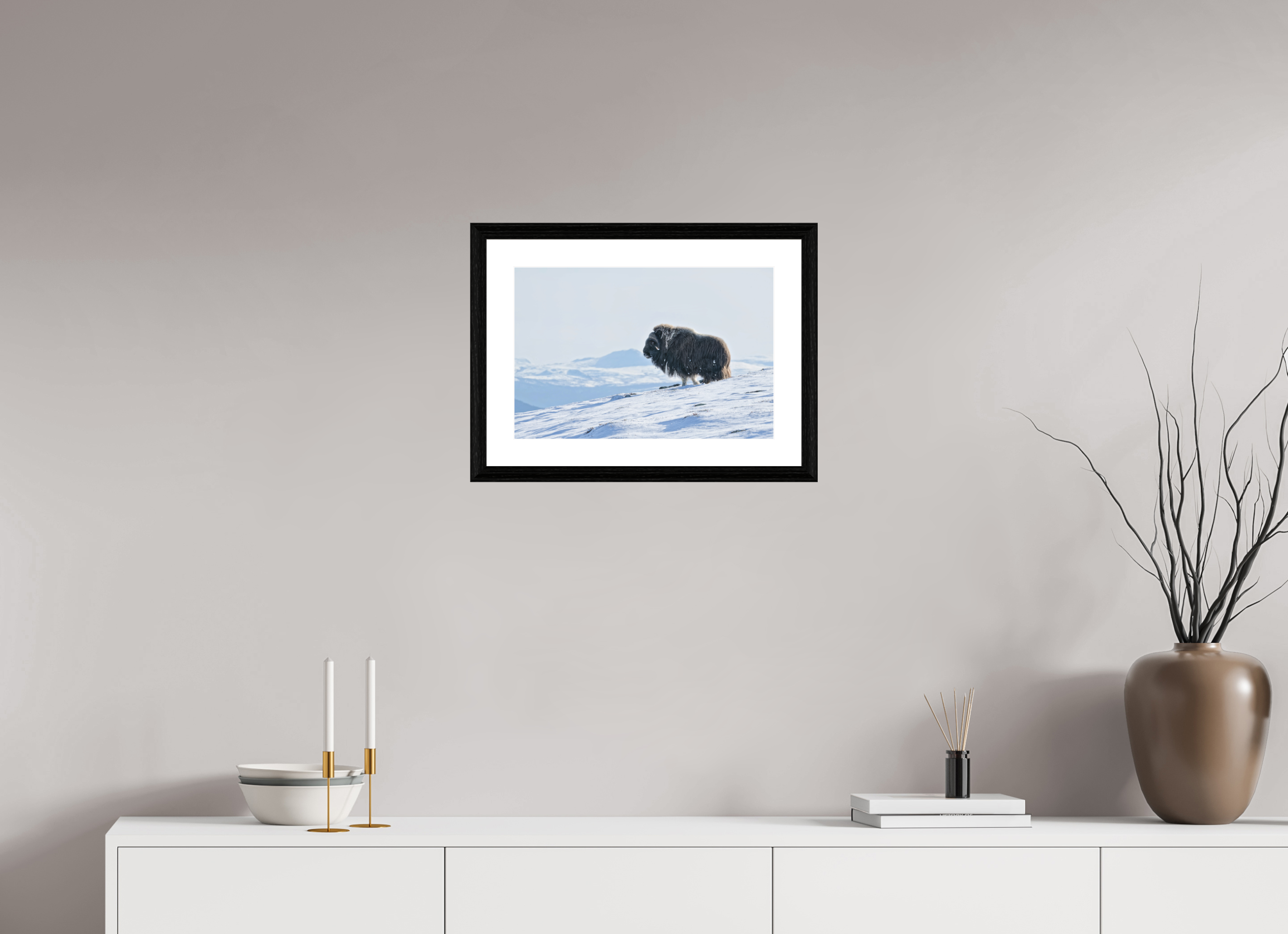 45 x 30 cm, Solid Wood Black Oak Frame Vienna White Passe-partout The Musk Ox Kingdom -  Solid Frame White Passe-Partout