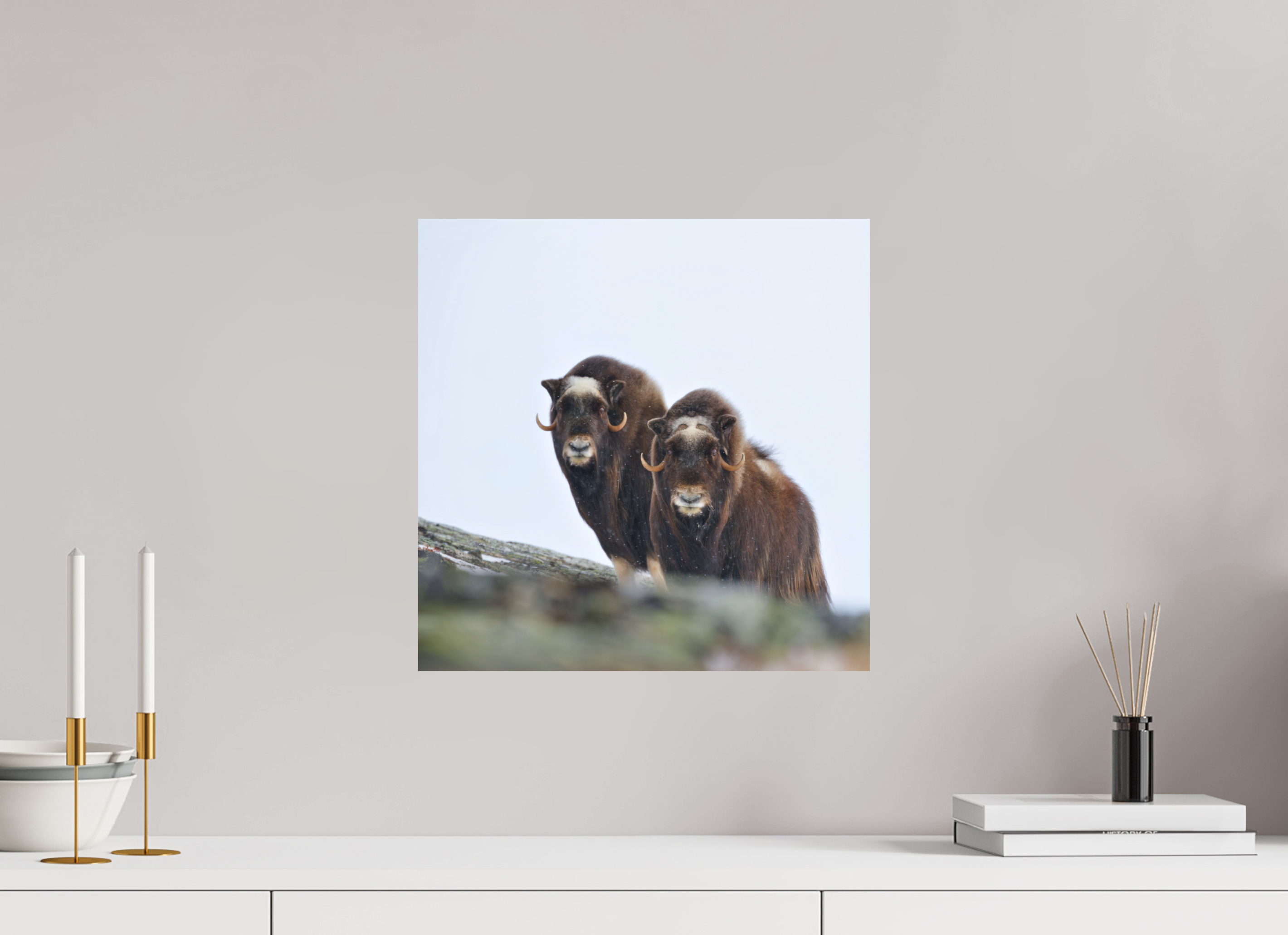 40 x 40 cm, Matte Photo Print The Musk Sisters - Photo Print