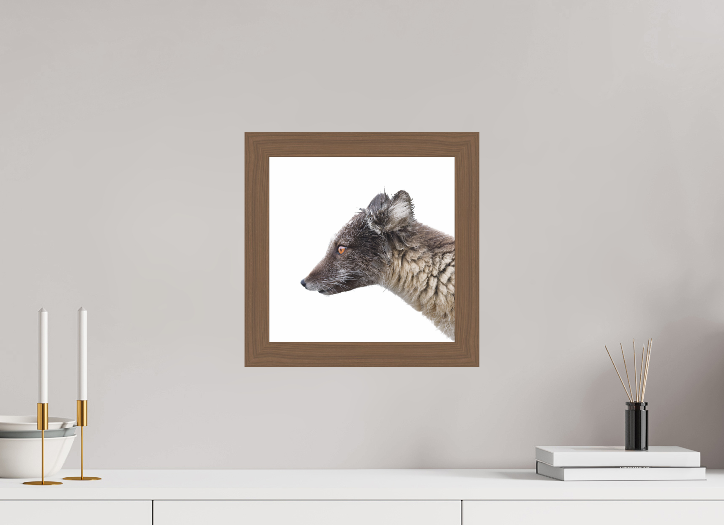 30 x 30 cm, Gallery Frame Hamburg 40mm Walnut Glossy Acrylic Arctic Fox Angel - In Solid 40 mm Wood Frame Hamburg Glossy