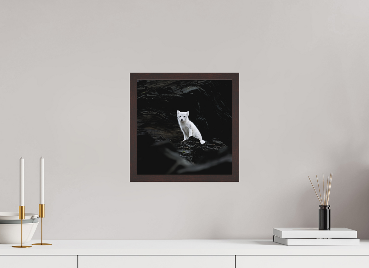 30 x 30 cm, Gallery Frame Hamburg 20mm Alder Brown Matte Acrylic Arctic Fox Angel - In Solid 20 mm Wood Frame Hamburg Matte