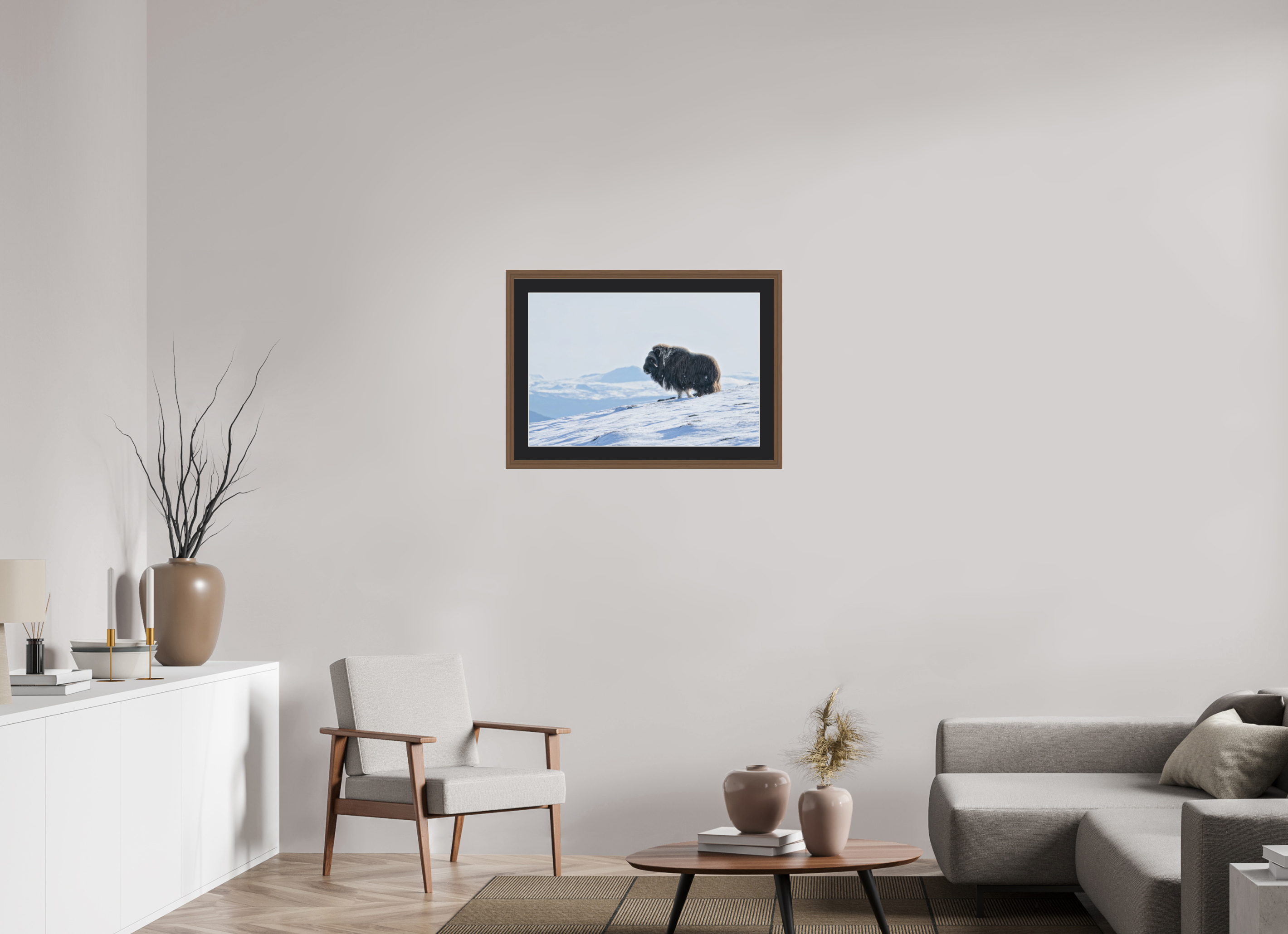 75 x 50 cm, Solid Wood Walnut Frame Vienna Black Passe-partout The Musk Ox Kingdom - Solid Frame With Passe-Partout