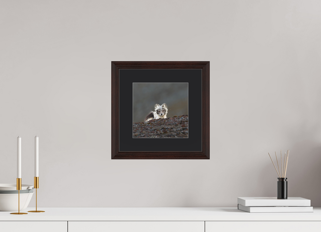 20 x 20 cm, Solid Wood Frame Vienna Passe-partout Alder Brown Arctiv Fox Scout -Solid Frame With Passe-Partout