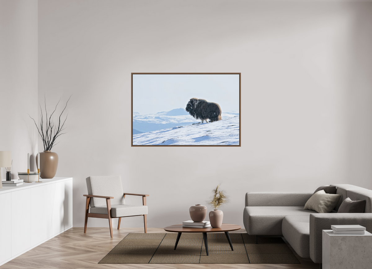 150 x 100 cm, Floater Frame Walnut Matte Acrylic Glass The Musk Ox Kingdom - Floater Frame Matte Acrylic