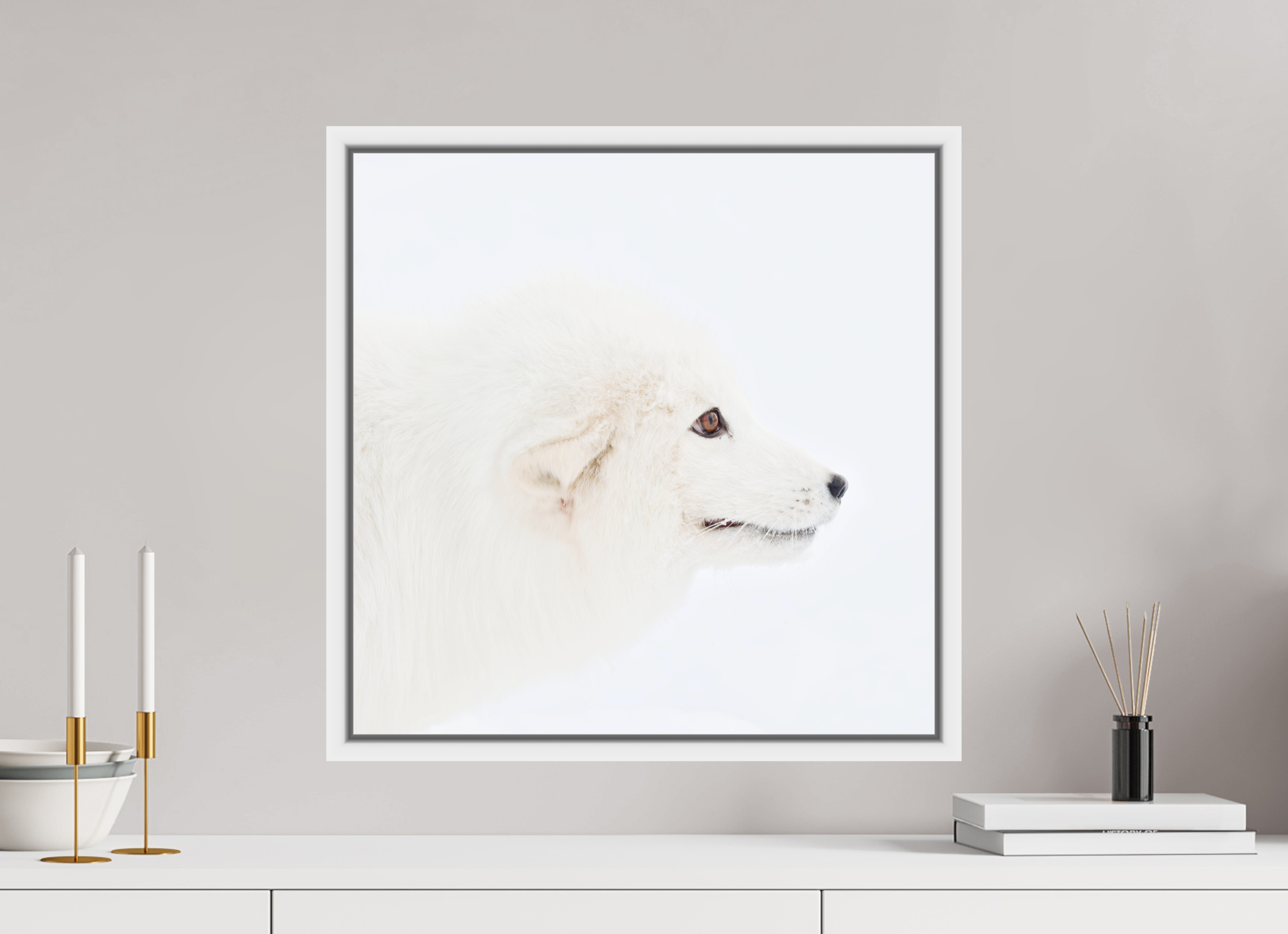 50 x 50 cm, Floater Frame White Glossy Acrylic Glass Arctic Fox Head - Floater Frame