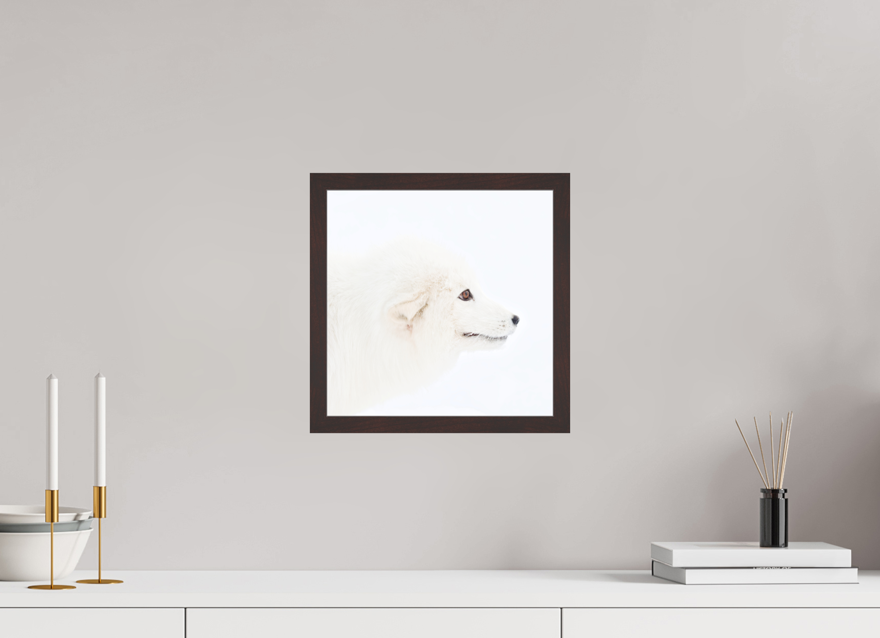 30 x 30 cm, Gallery Frame Hamburg 20mm Alder Brown Matte Acrylic Arctic Fox Head - In Gallery Frame Hamburg 20 mm